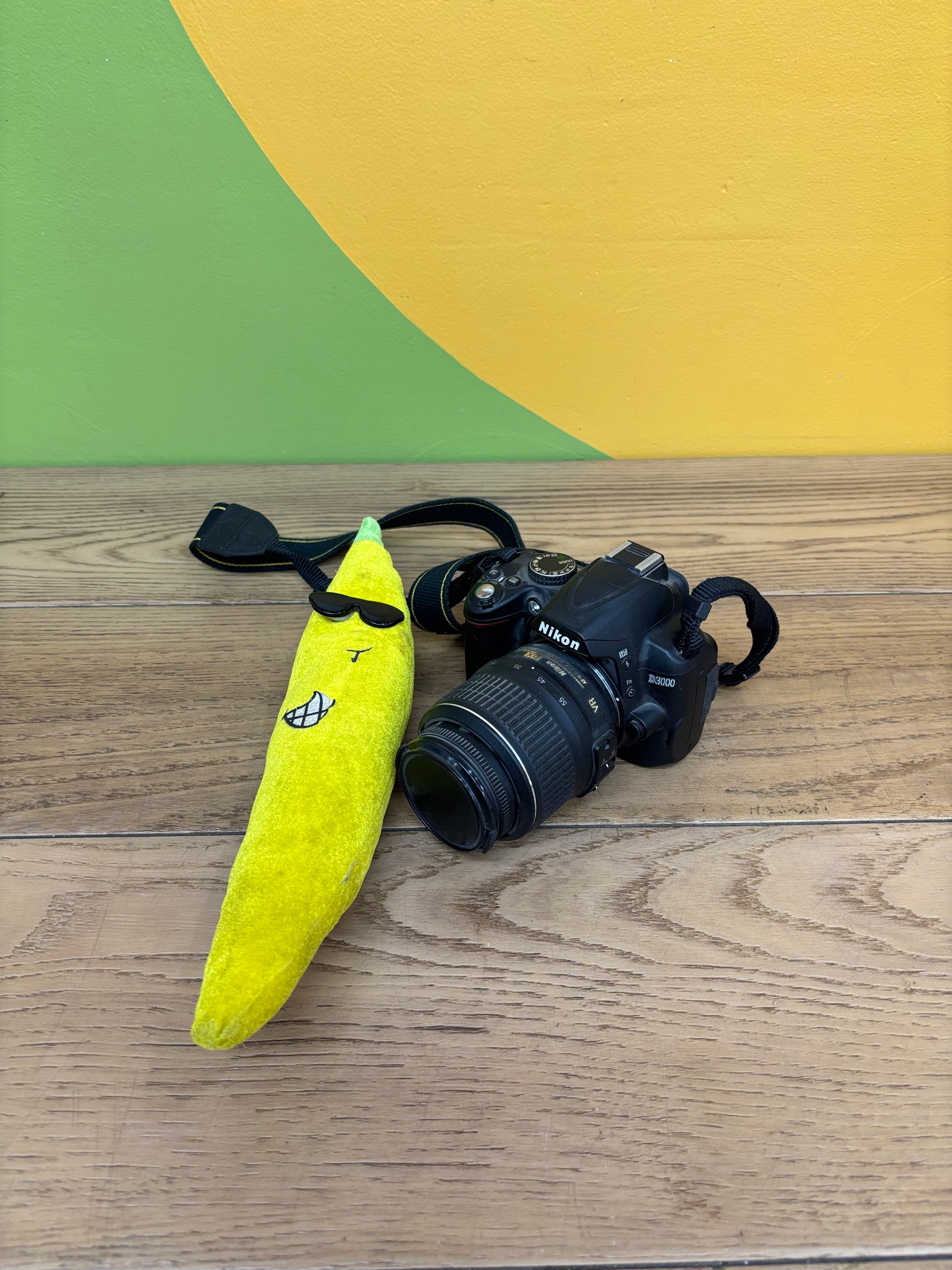 Nikon D3000 Digital Camera