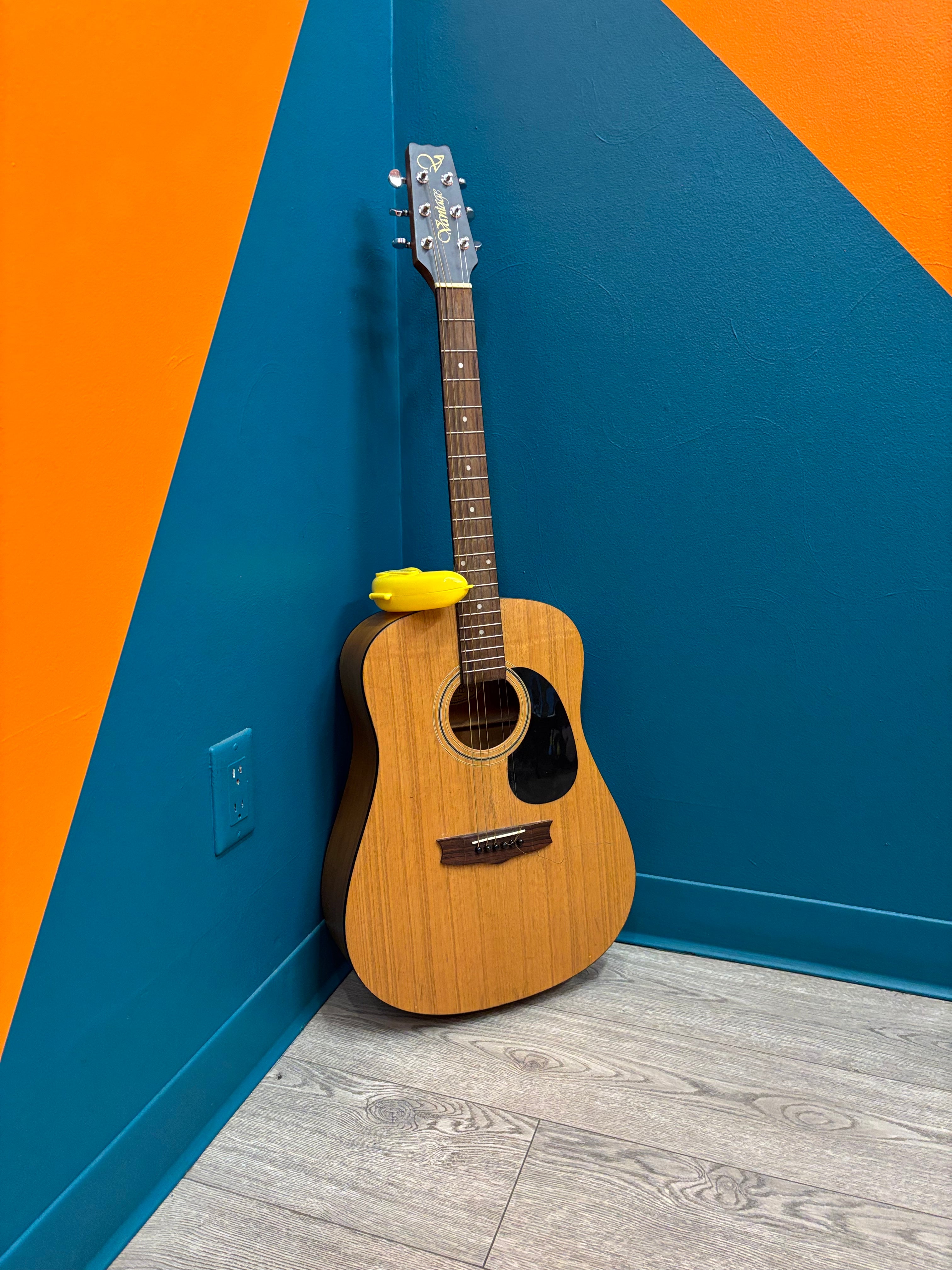 Vantage VIS-1 Acoustic Guitar