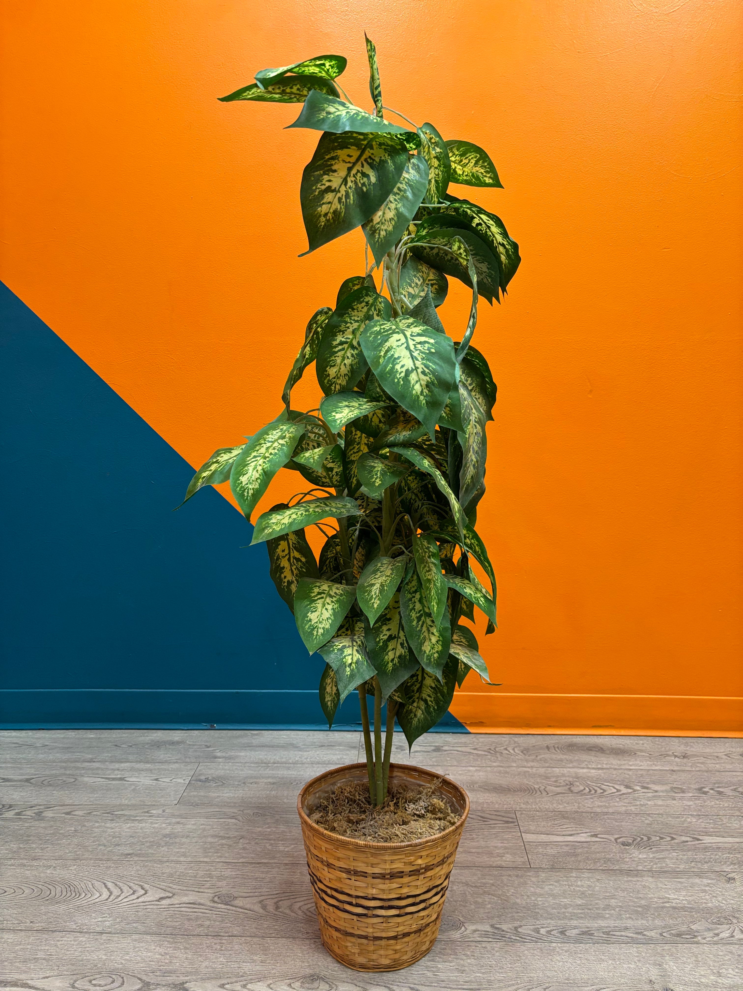 Taller Artificial Plant in Basket