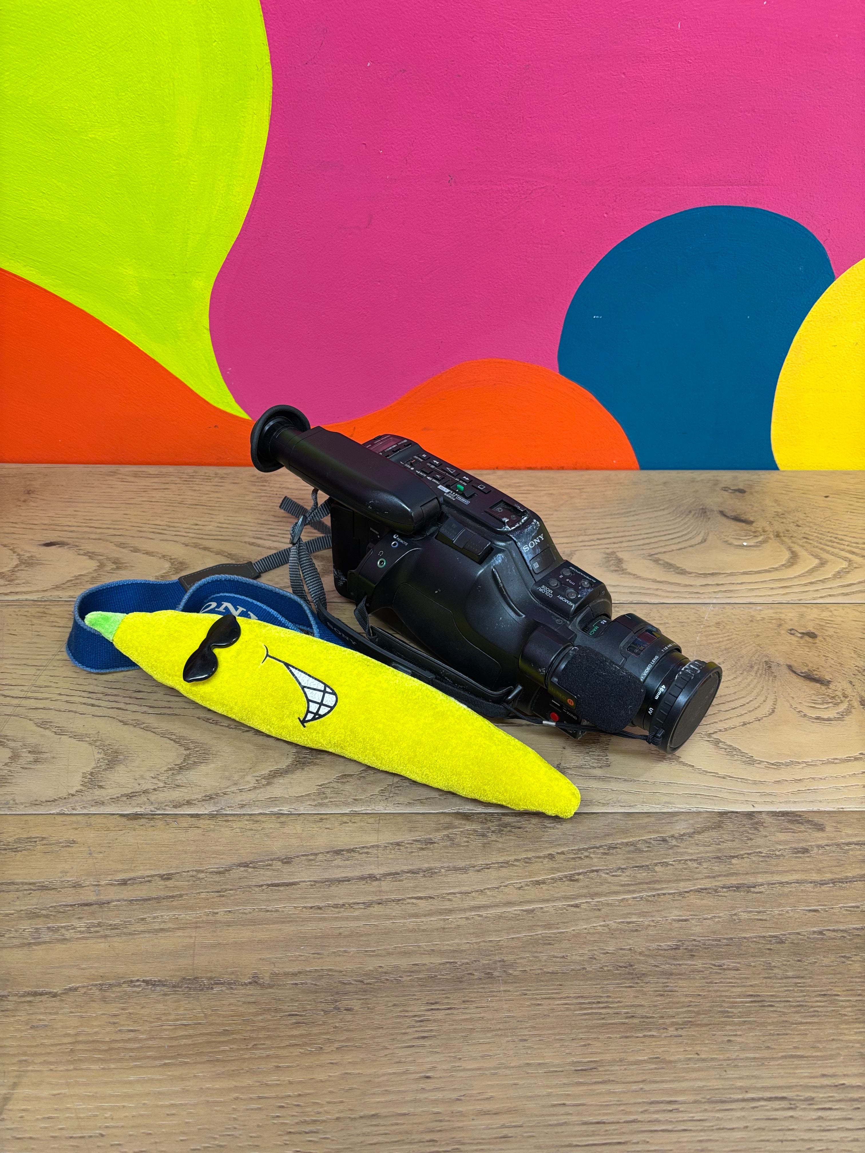Sony Handycam Video 8 Camcorder (CCD-F77)