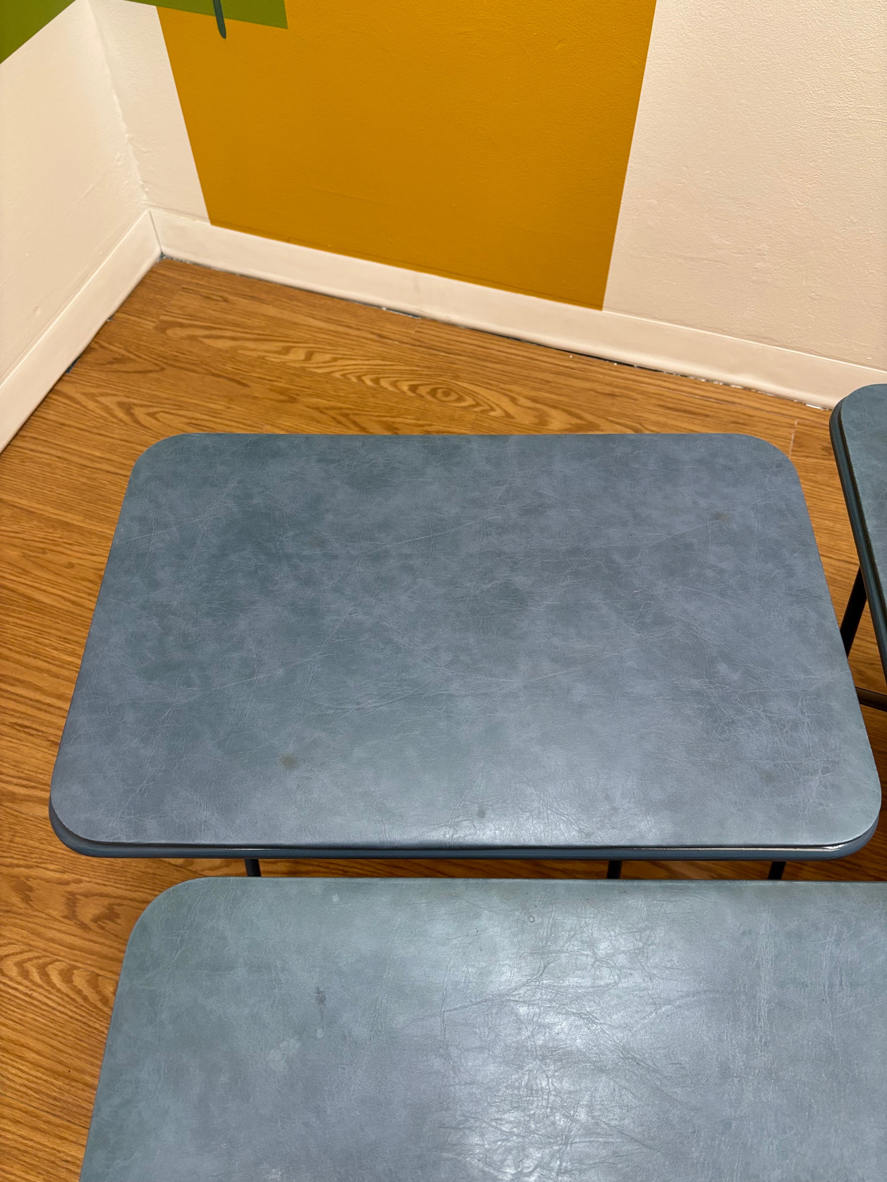 Blue 4 Piece TV Tray Set