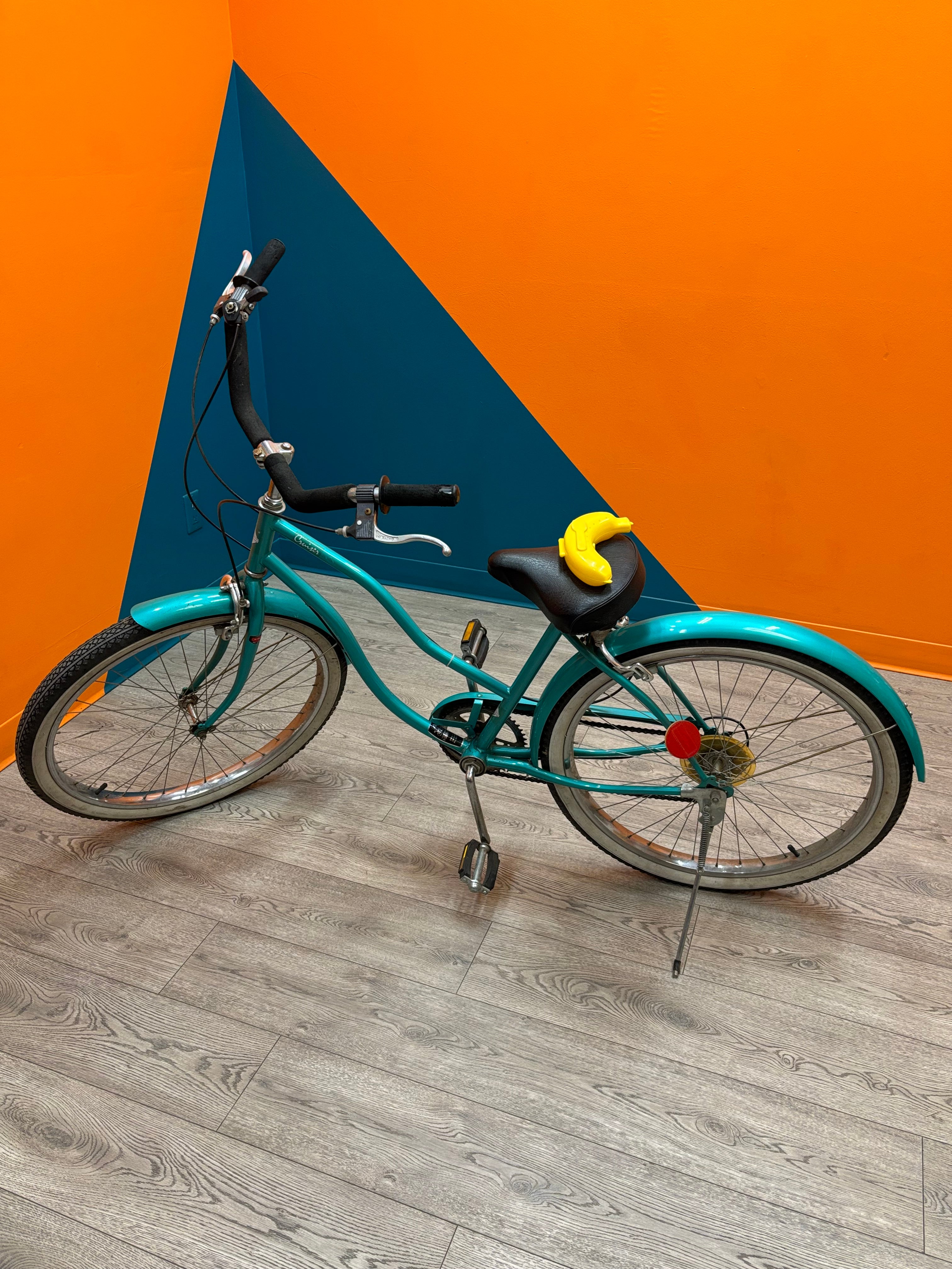 Turquoise Cruiser Collection Pro Bicycle