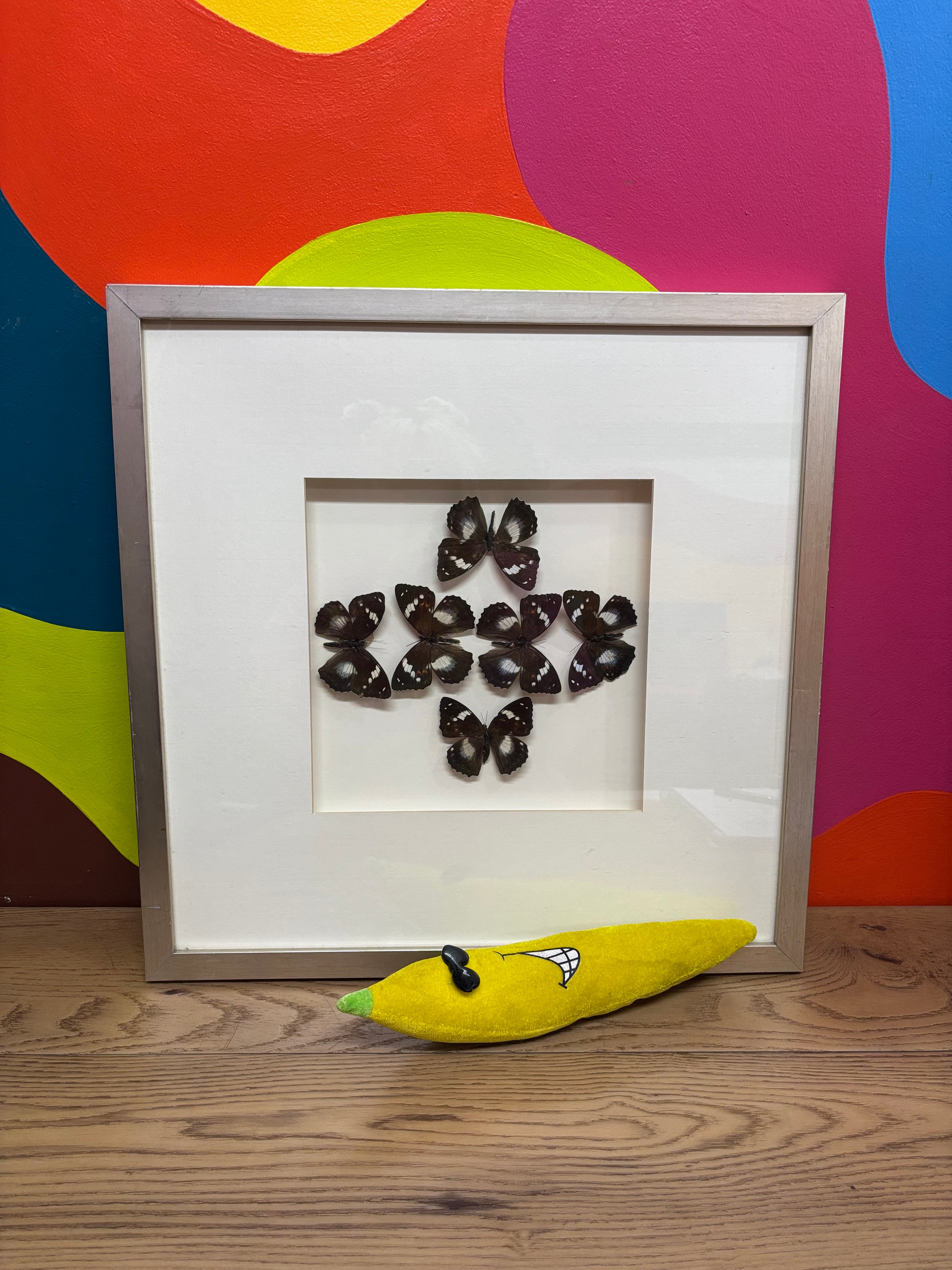 Butterfly Art