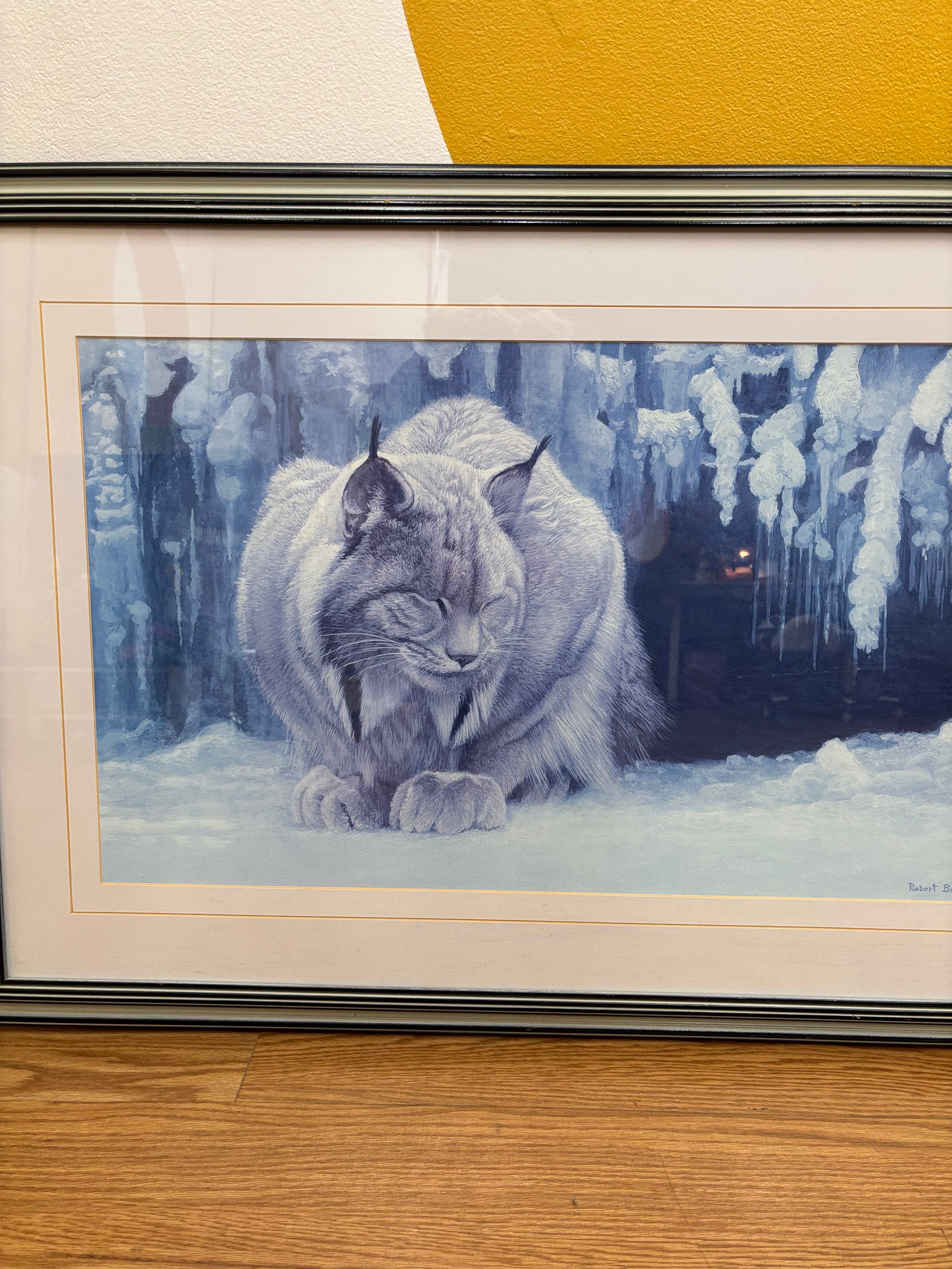 Dozing Lynx by Robert Bateman