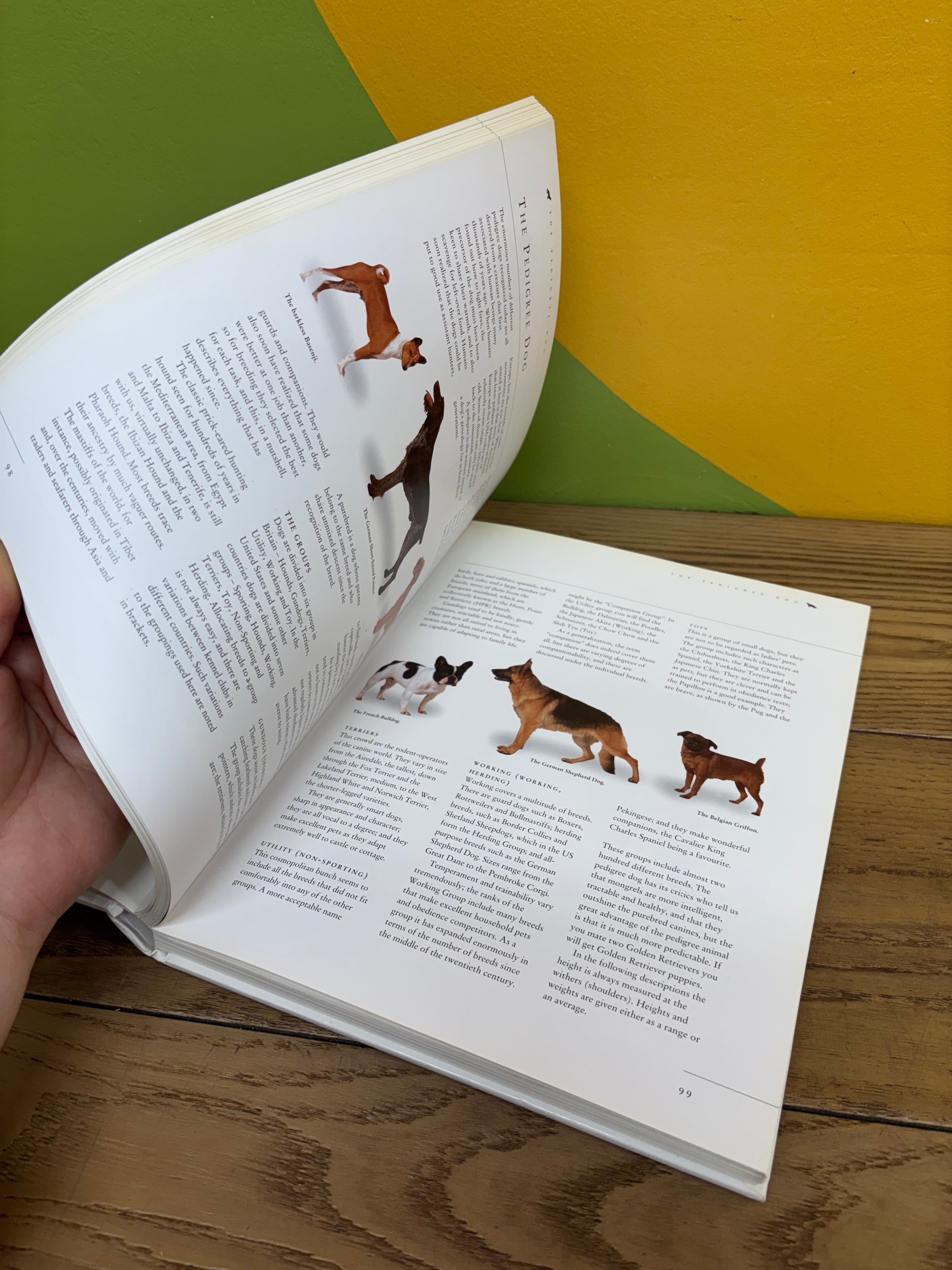 The Complete Dog Book: A Comprehensive, Practical Care and Training Manual, and a Definitive Encyclopedia of World Breeds