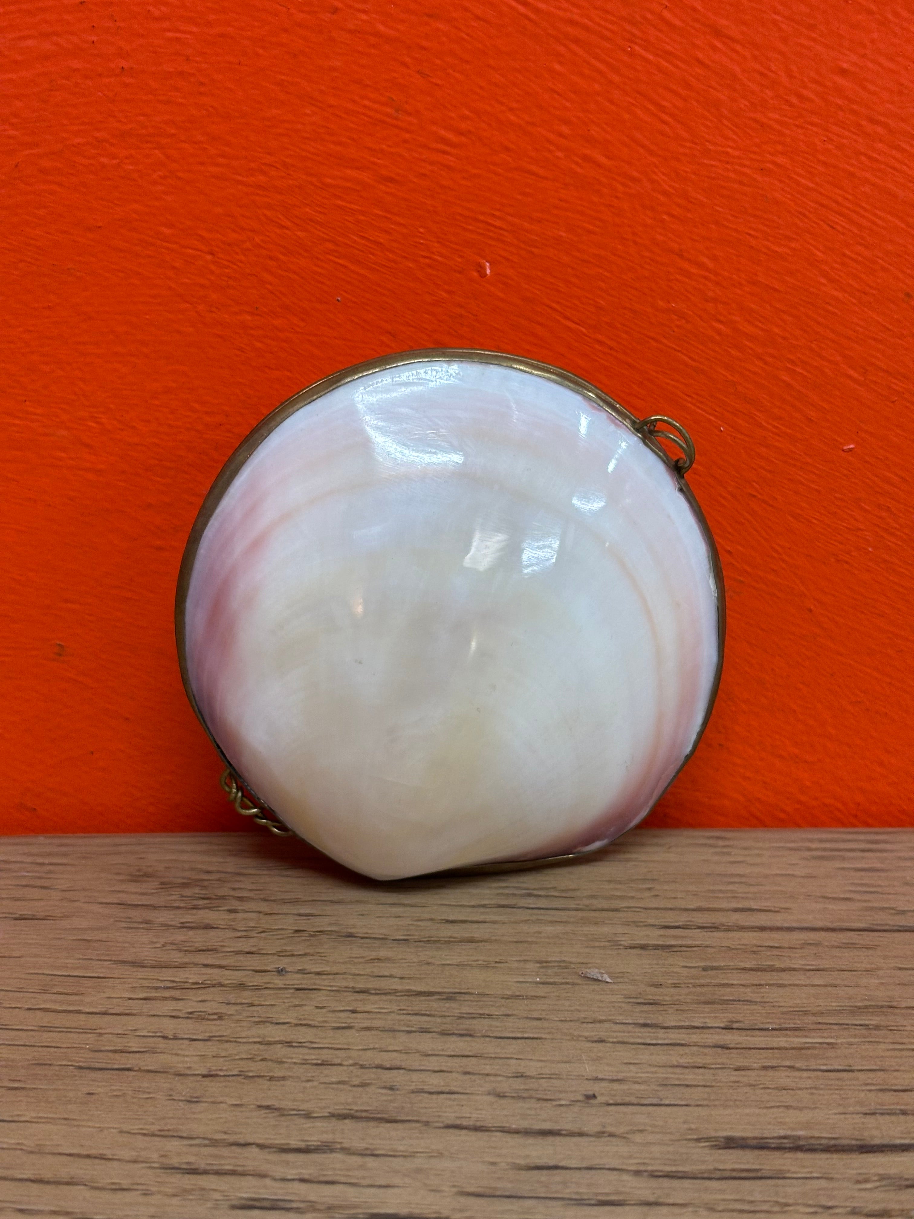 Small Seashell Trinket Box
