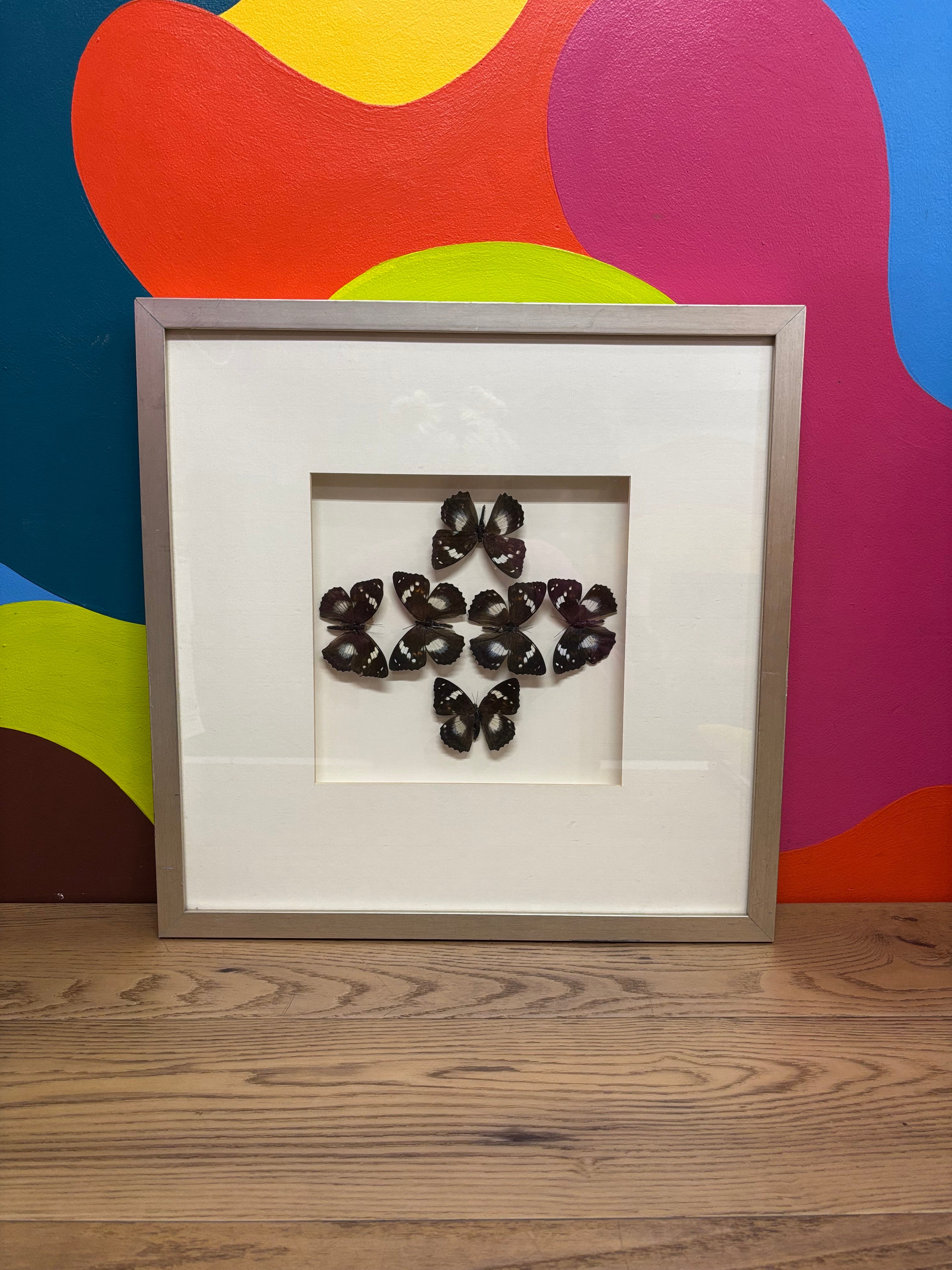 Butterfly Art