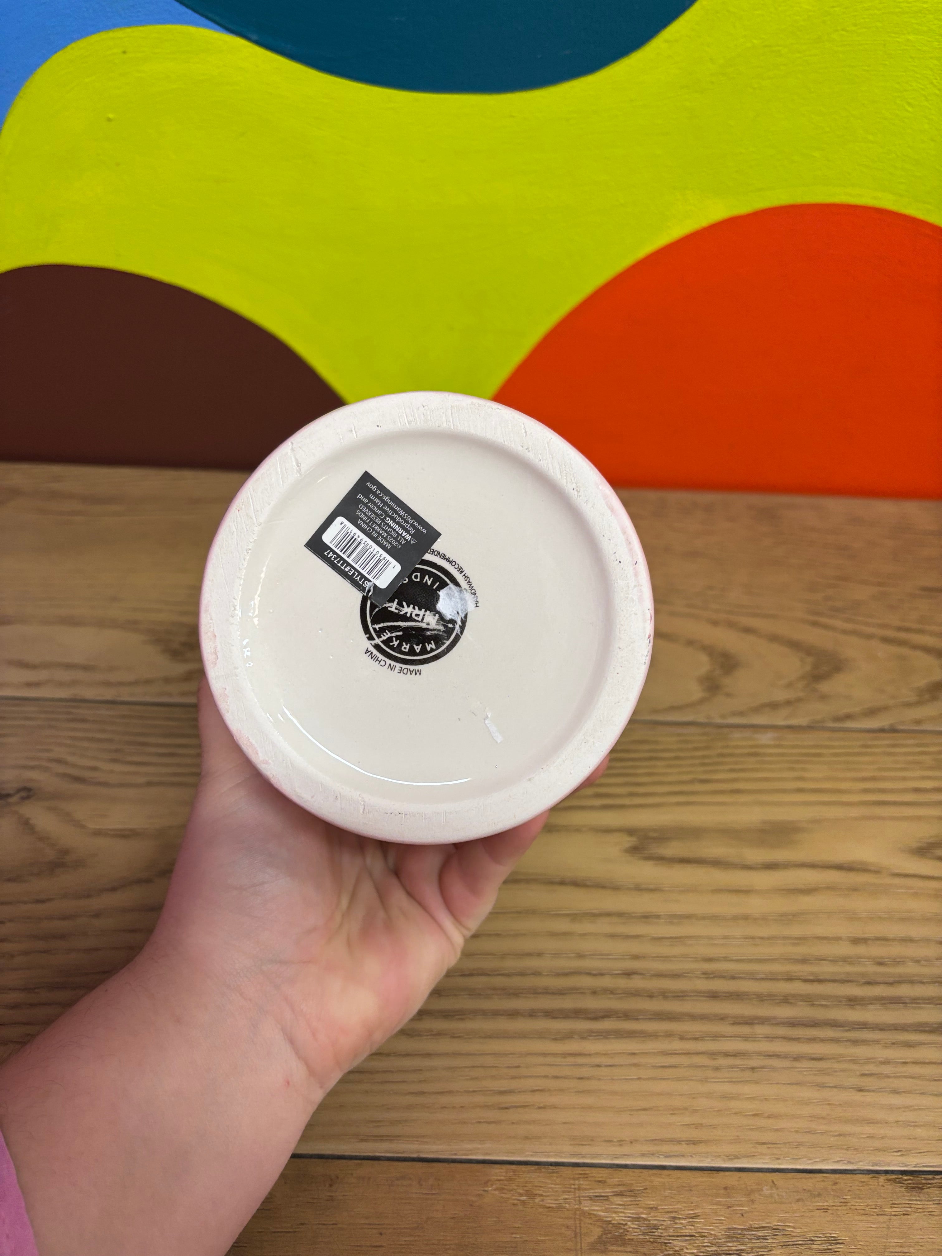 Small Pink Ghost Plant Pot