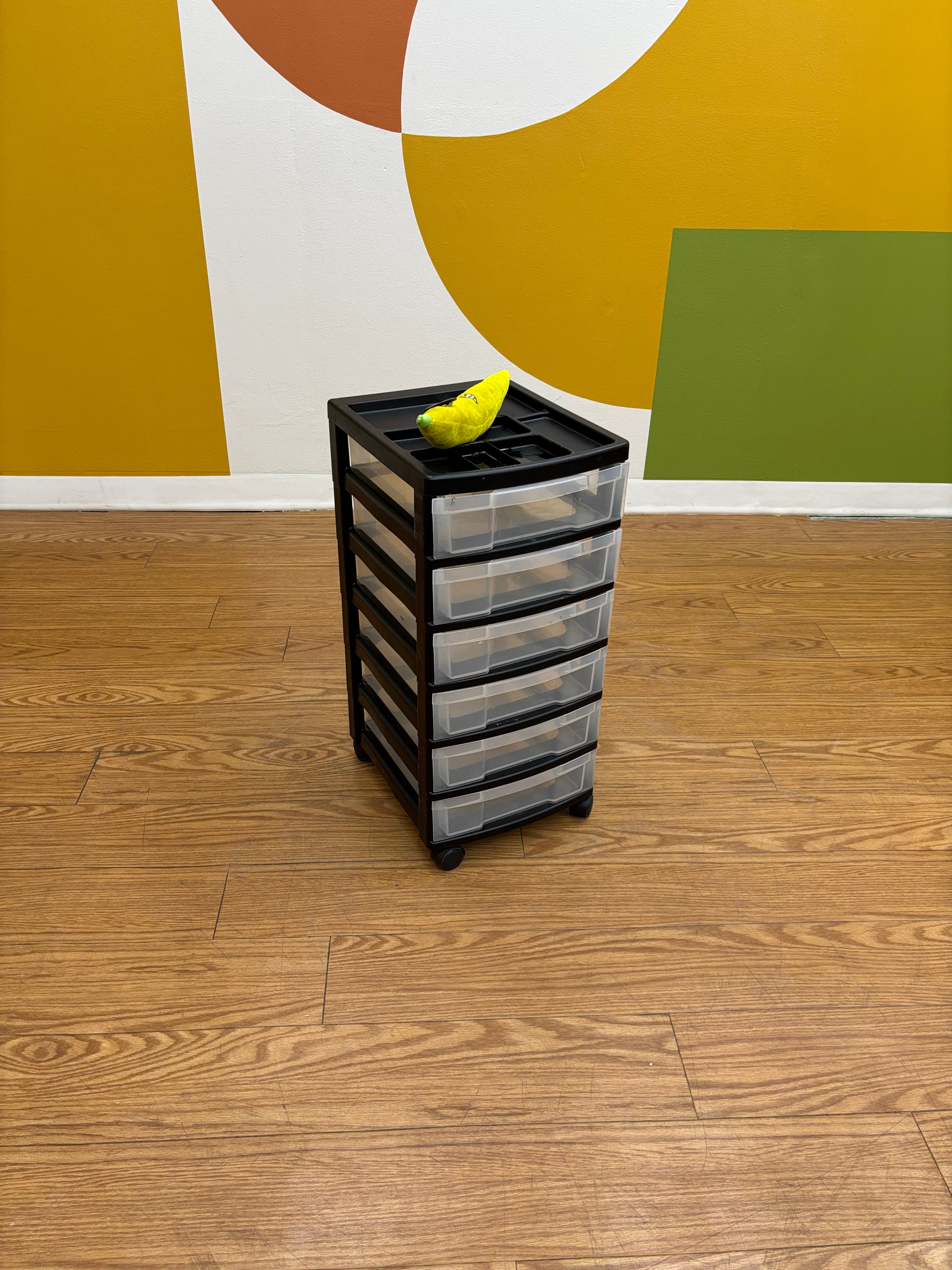 6 Drawer Rolling Cart (2 available)
