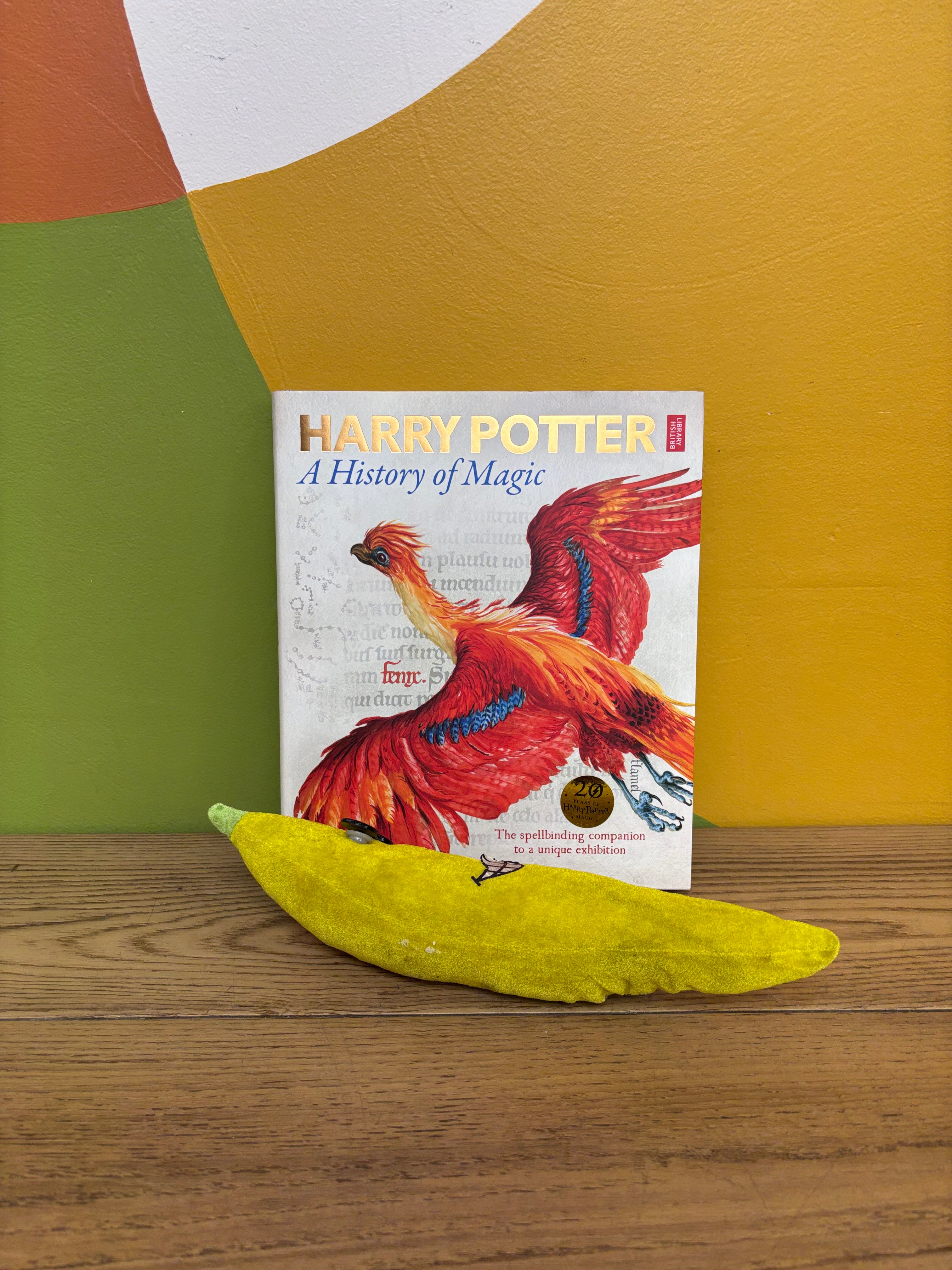 Harry Potter: A History of Magic Book