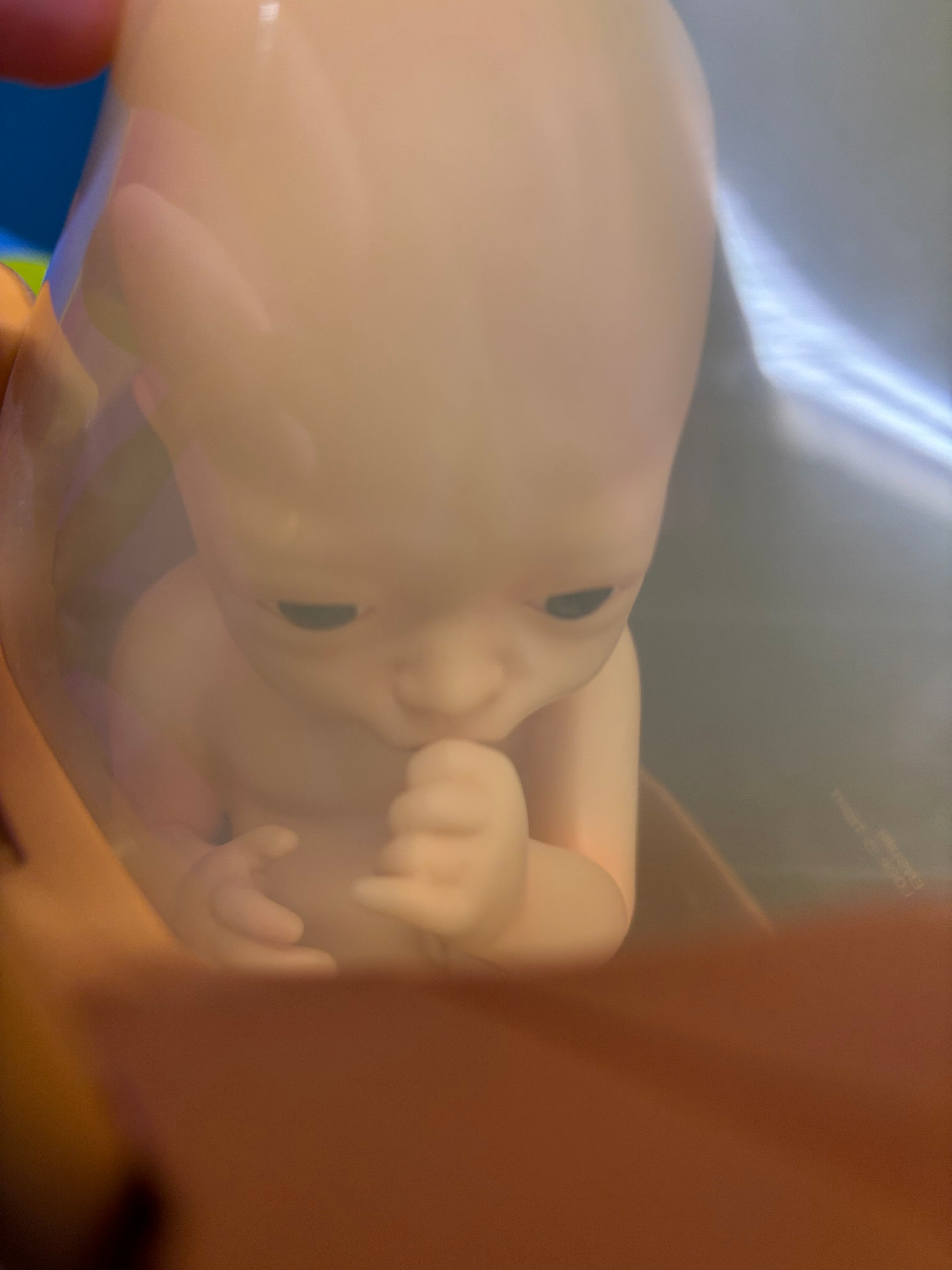 Death Stranding Collector's Edition Replica of BB Pod