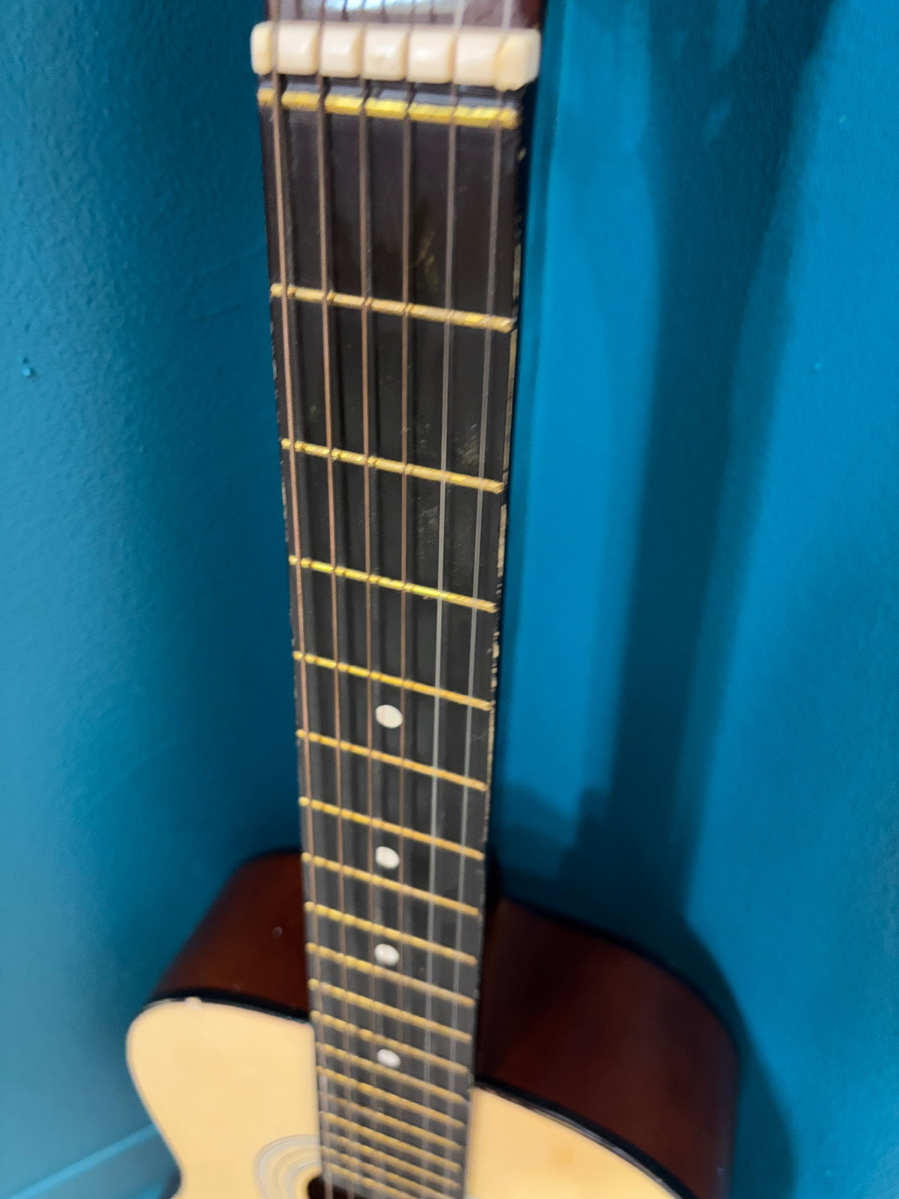 Burswood Small Acoustic Guitar