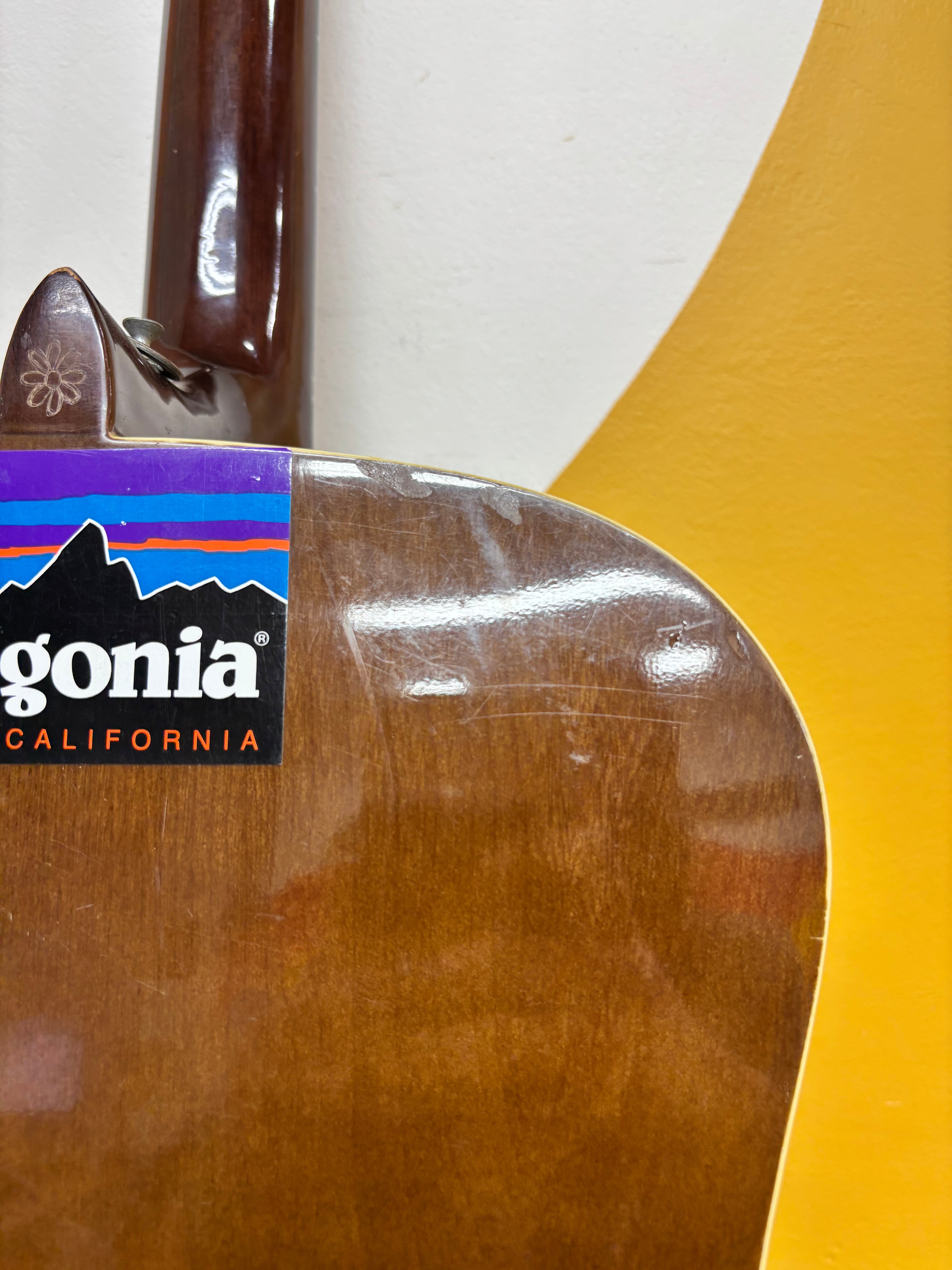 Hand-Painted Anjo Acoustic Guitar