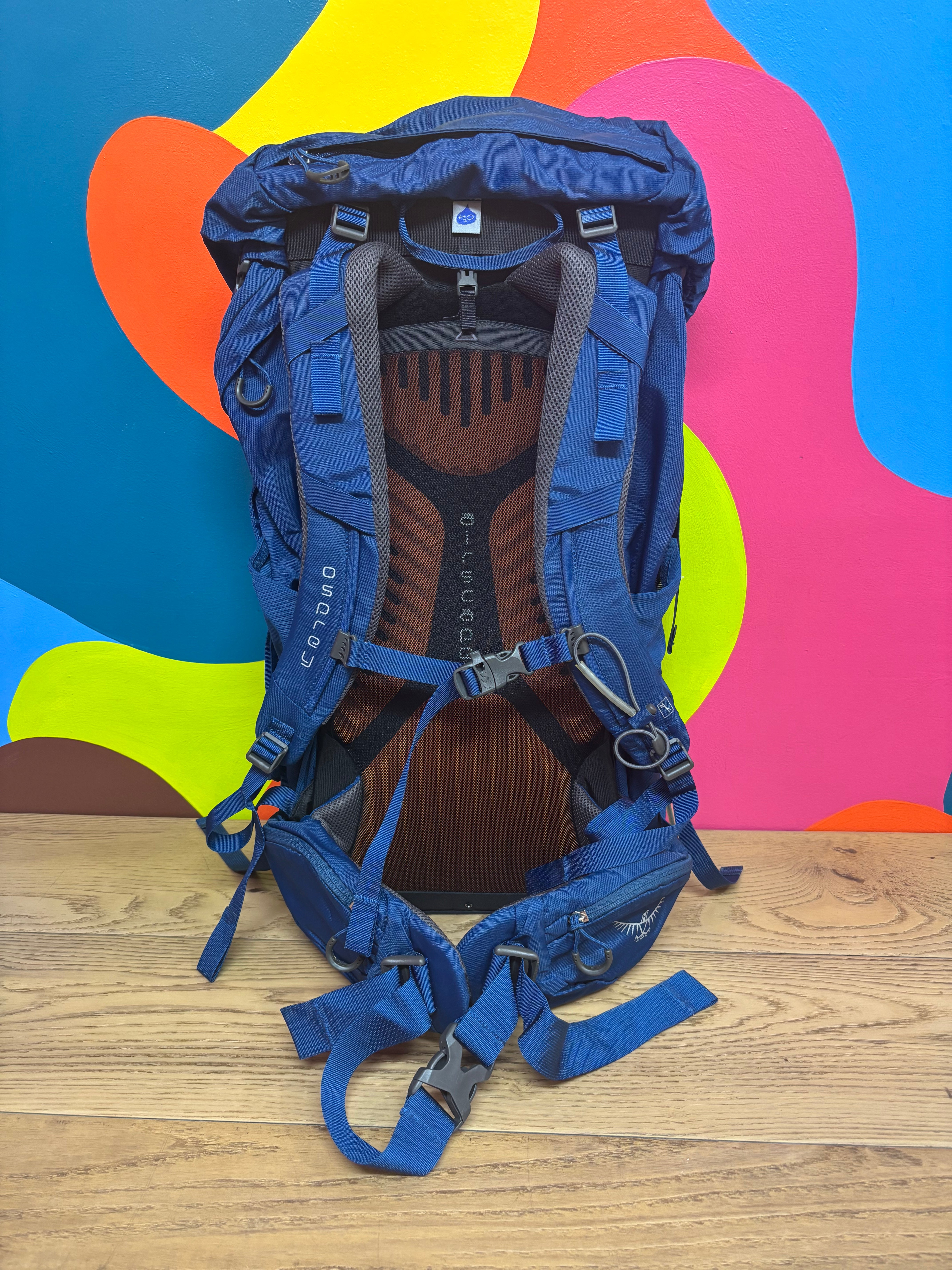 Osprey Blue Kestrel 38 Hiking Backpack