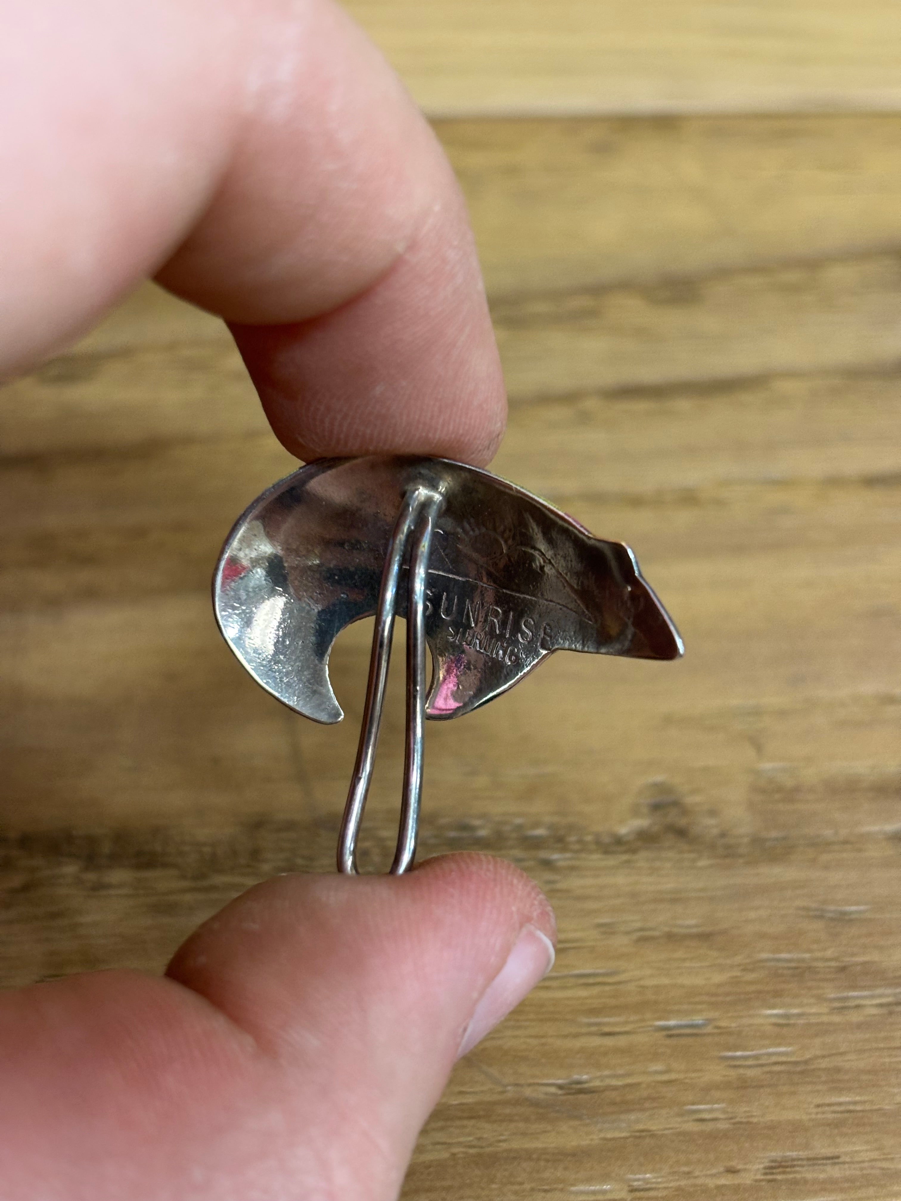 Paw Earrings with Matching Clip