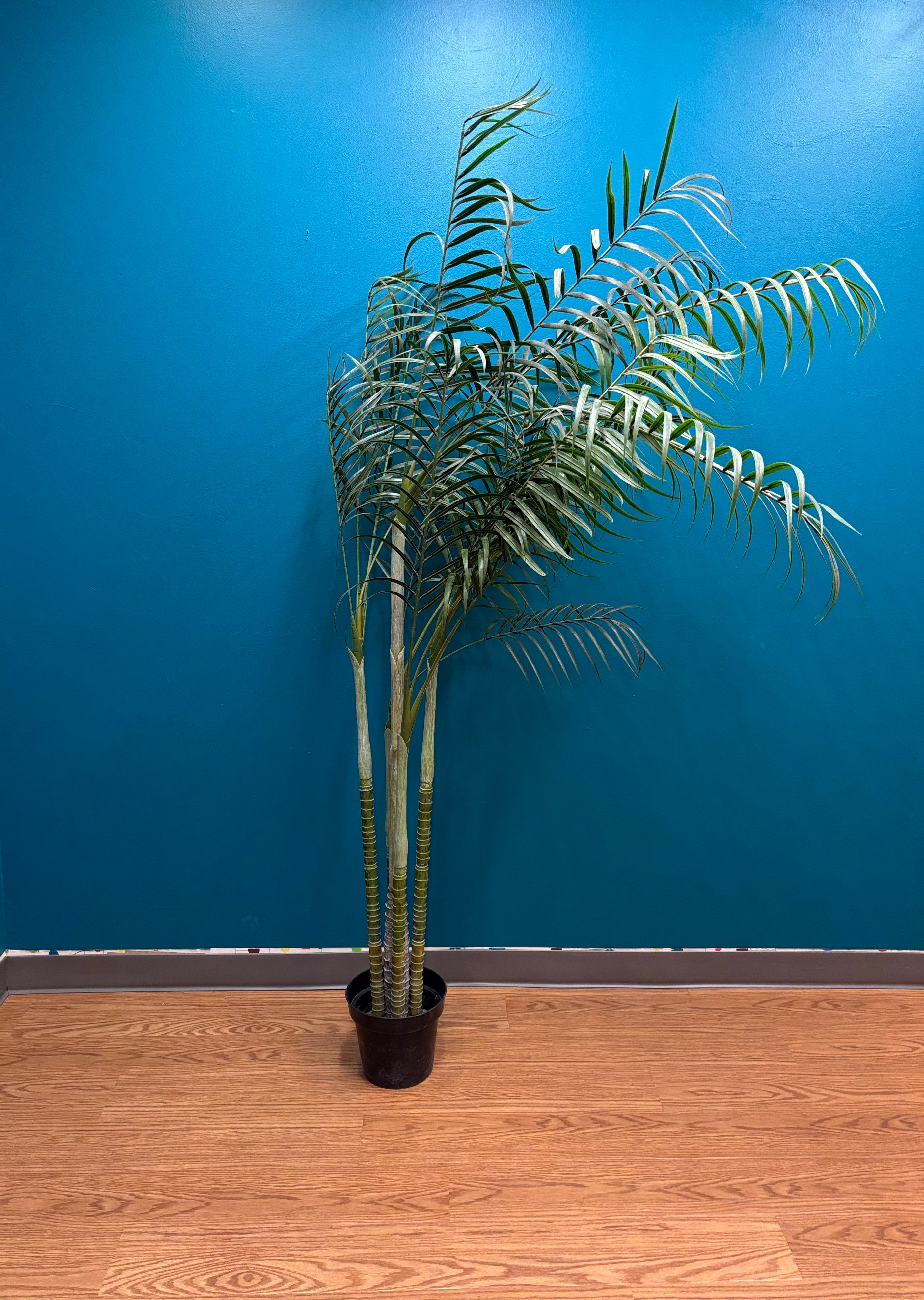 Artificial Tree (2 available)