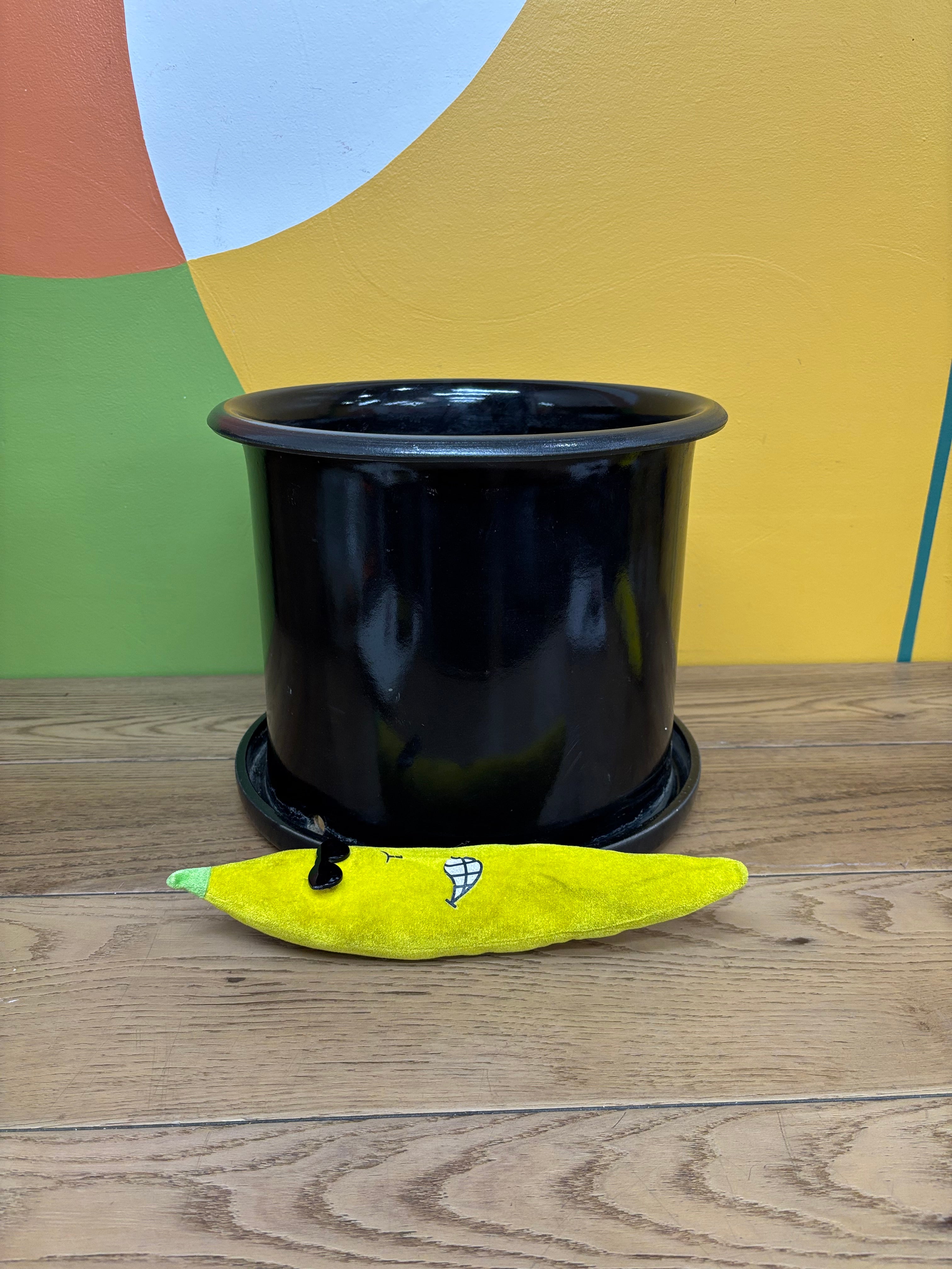 Black Ceramic Planter