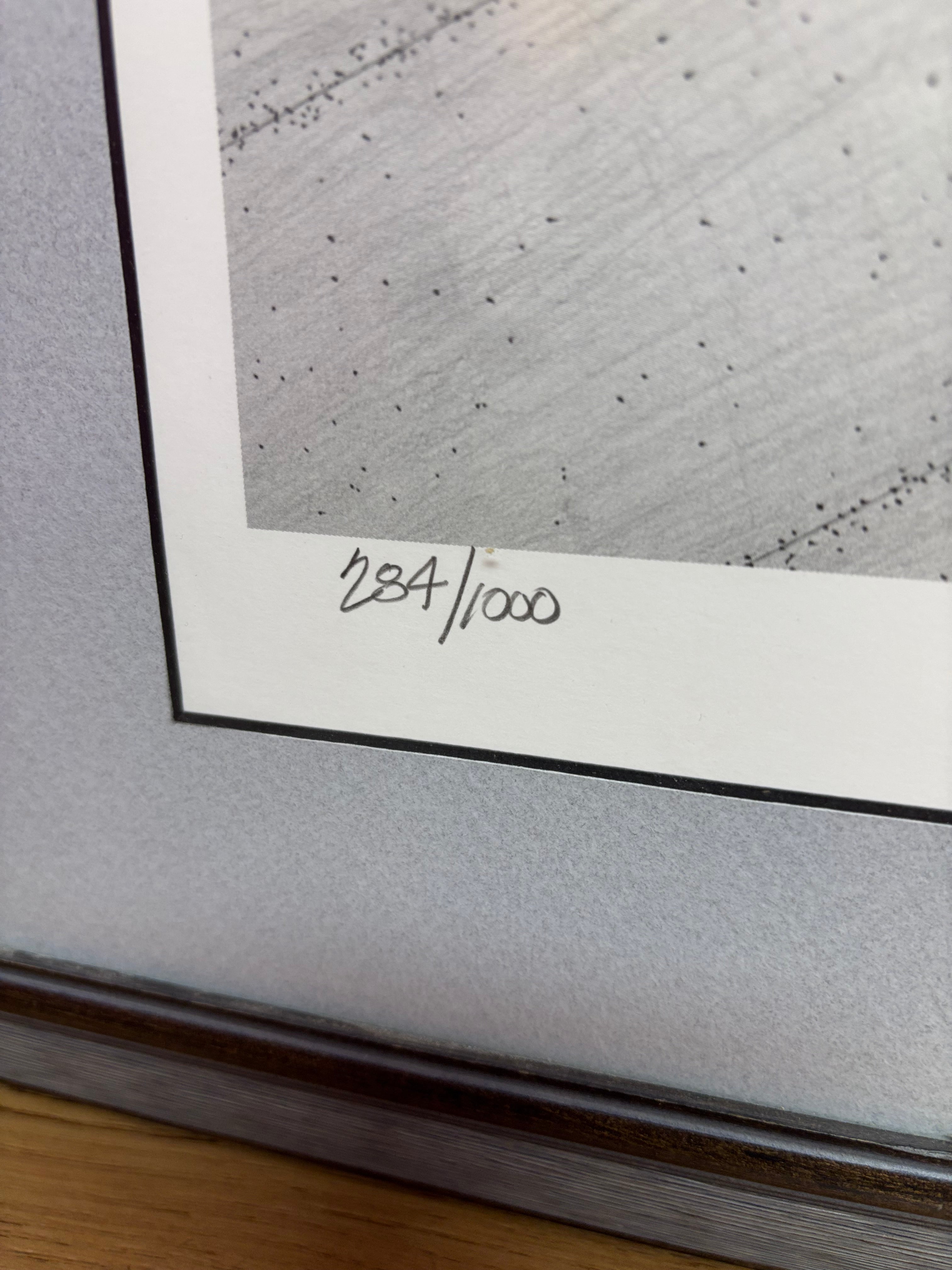 Framed Harley Davidson Print