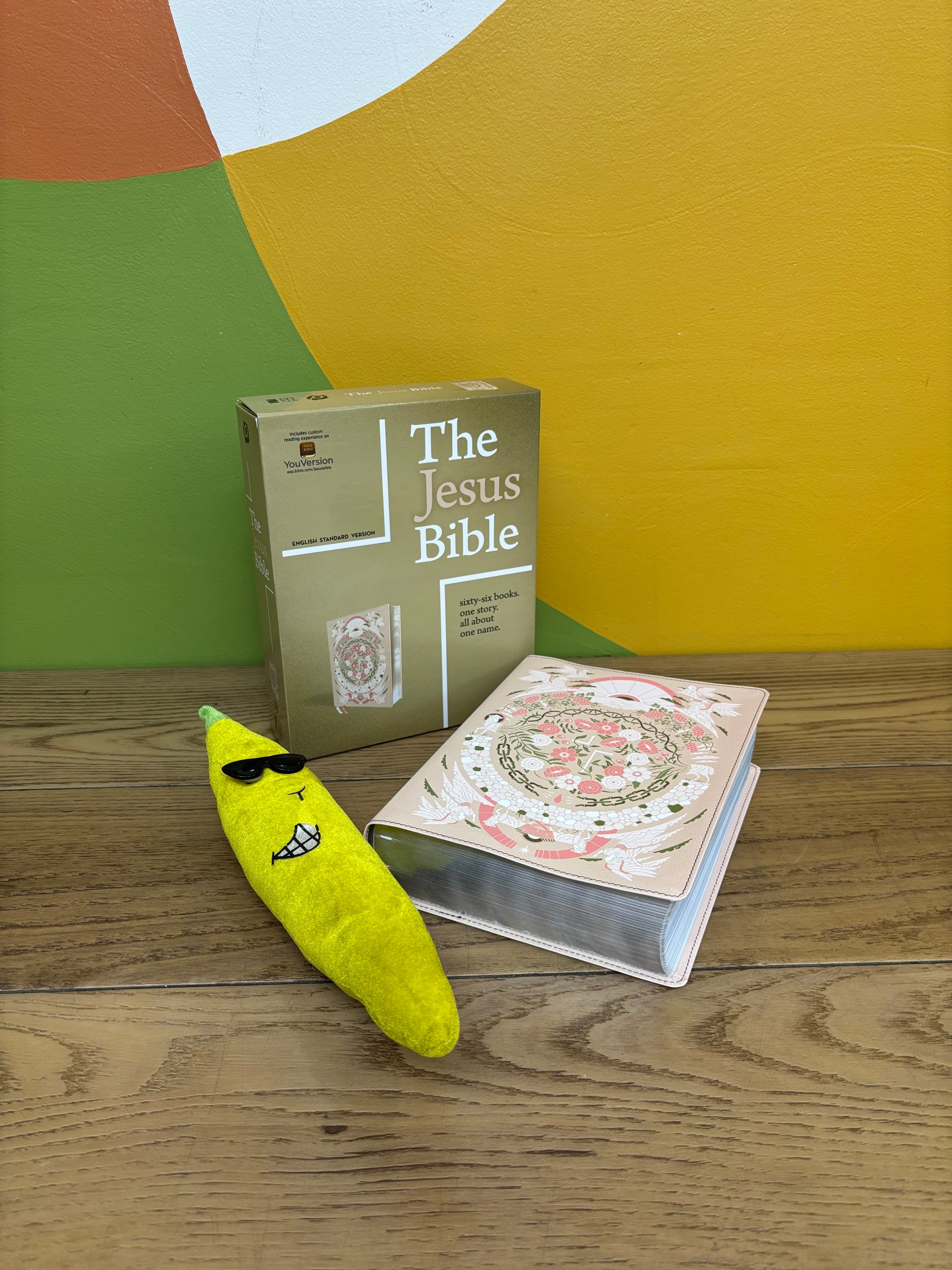 The Jesus Bible Artist Edition
