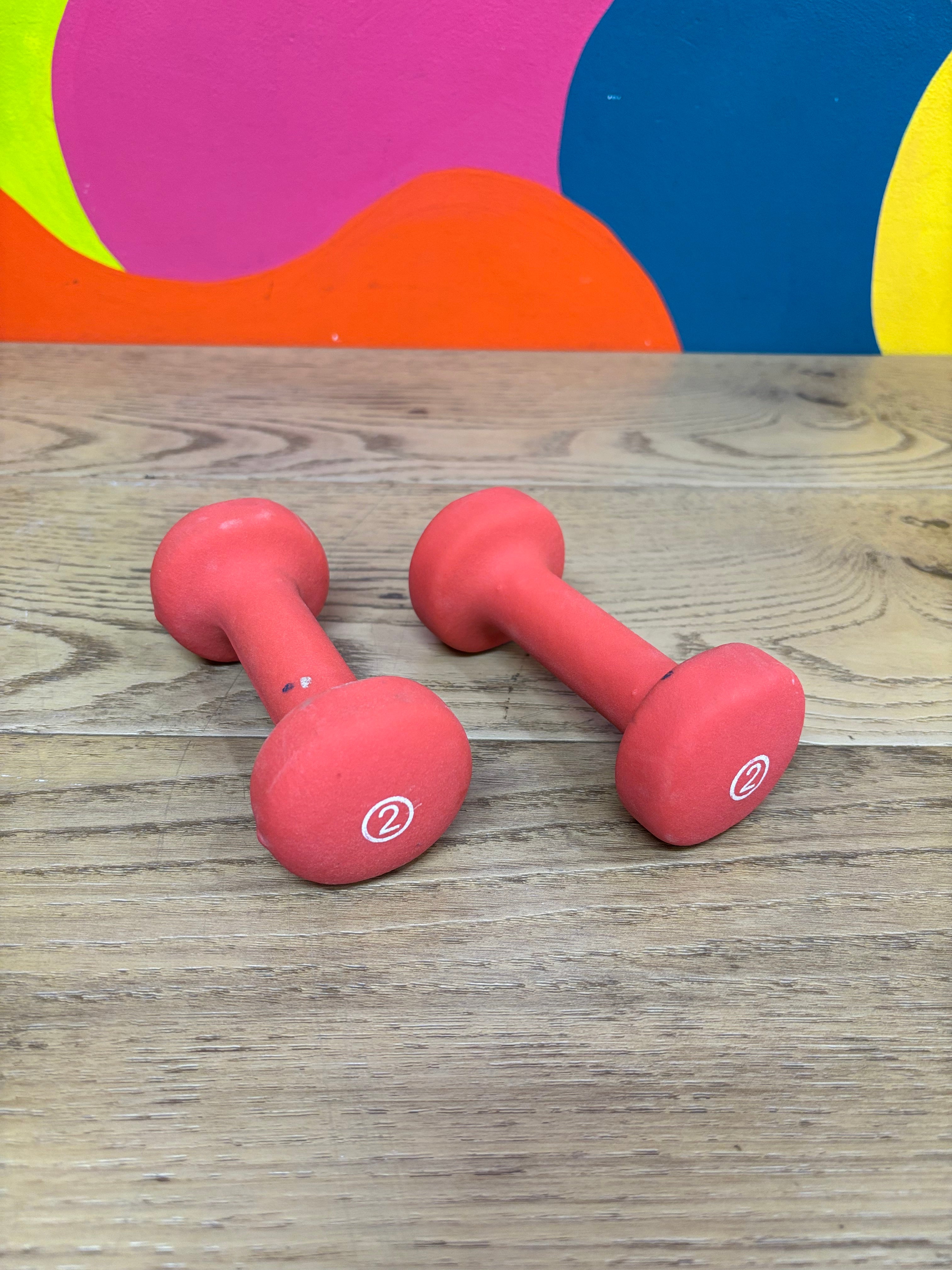 Set of 2 Pound Weights