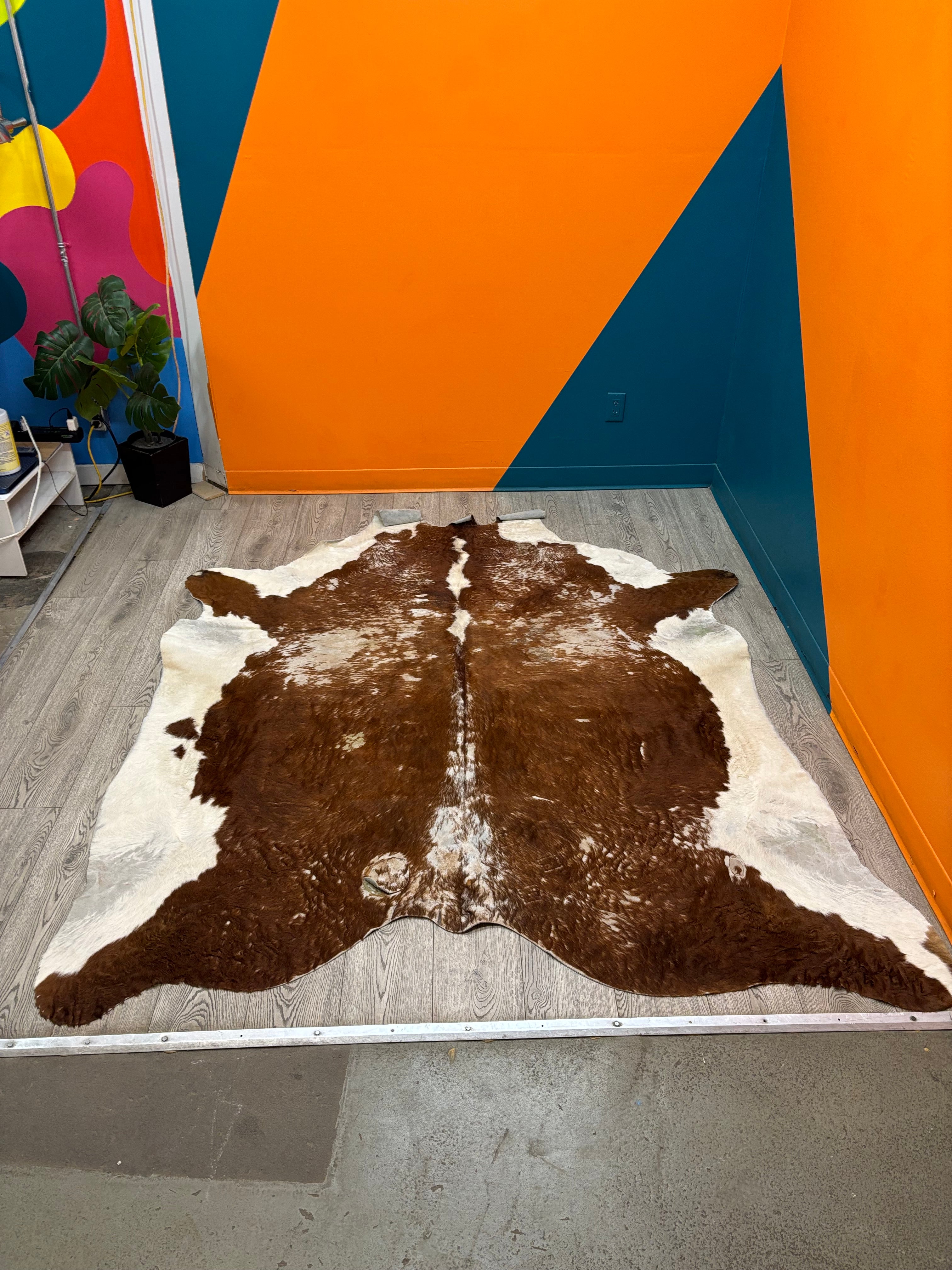 Brown & White Cowhide Rug