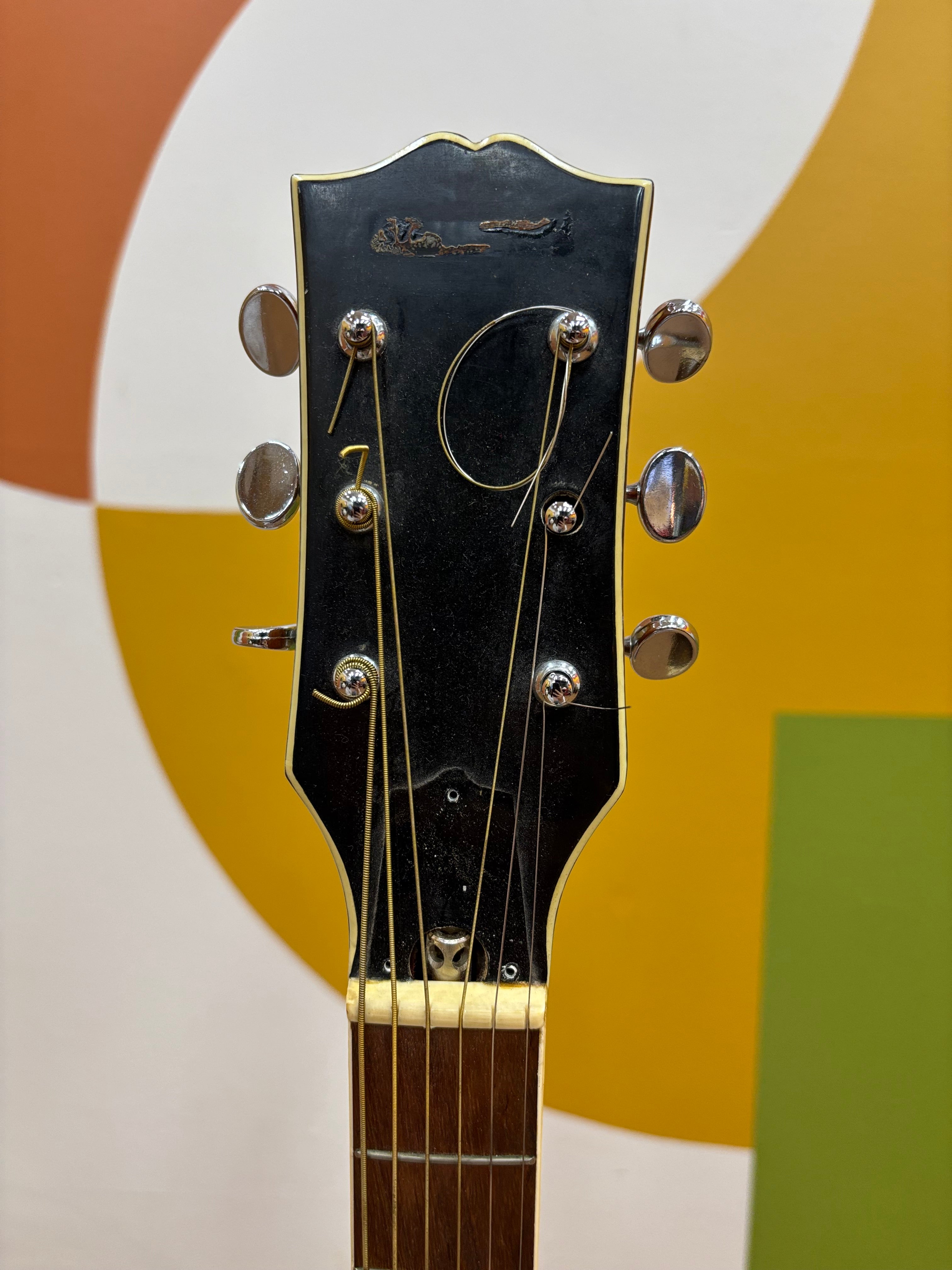 Pyramid Acoustic Guitar (Model - F742)