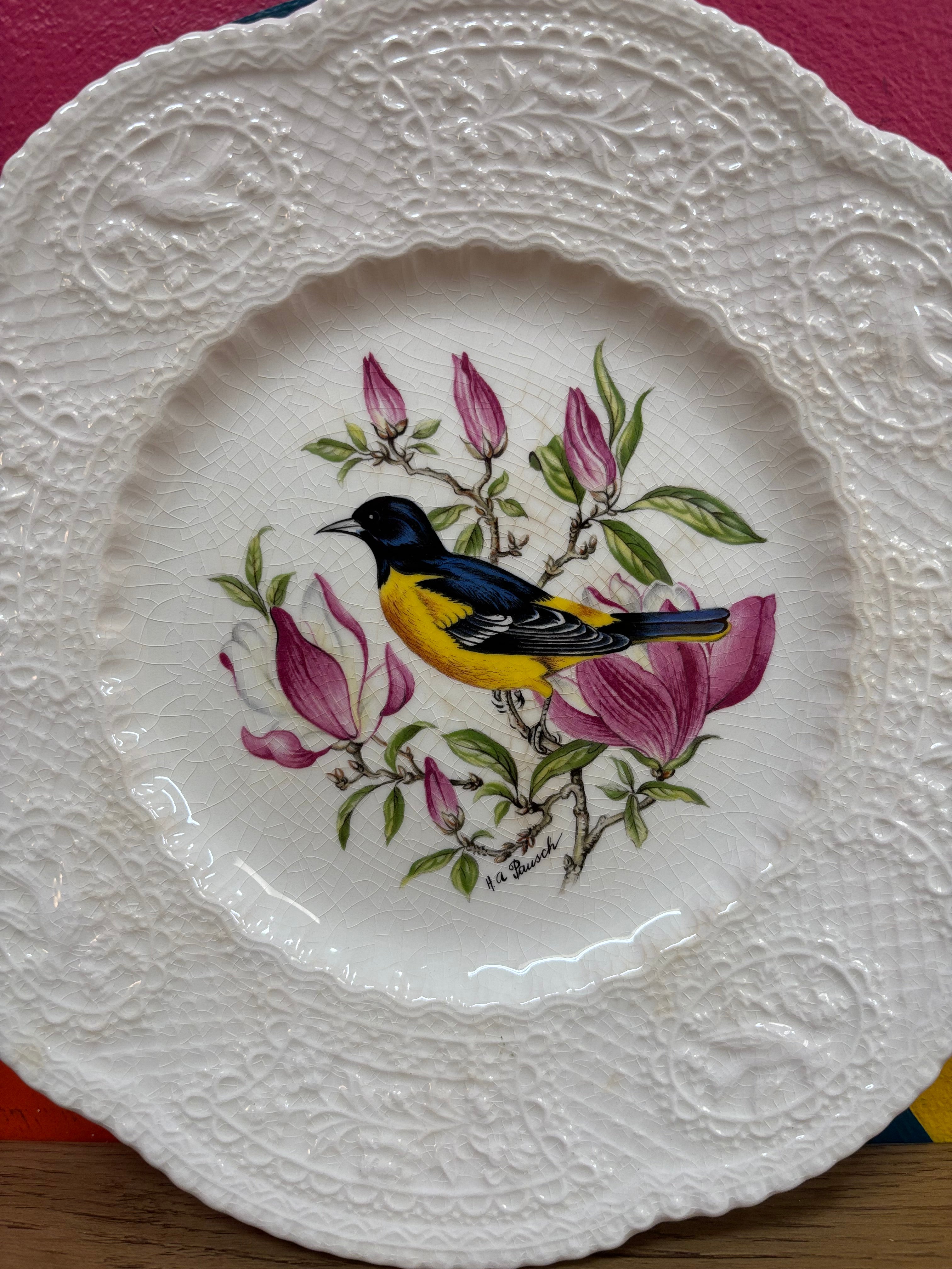 Royal Cauldon Decorative Plate - Baltimore Oriole