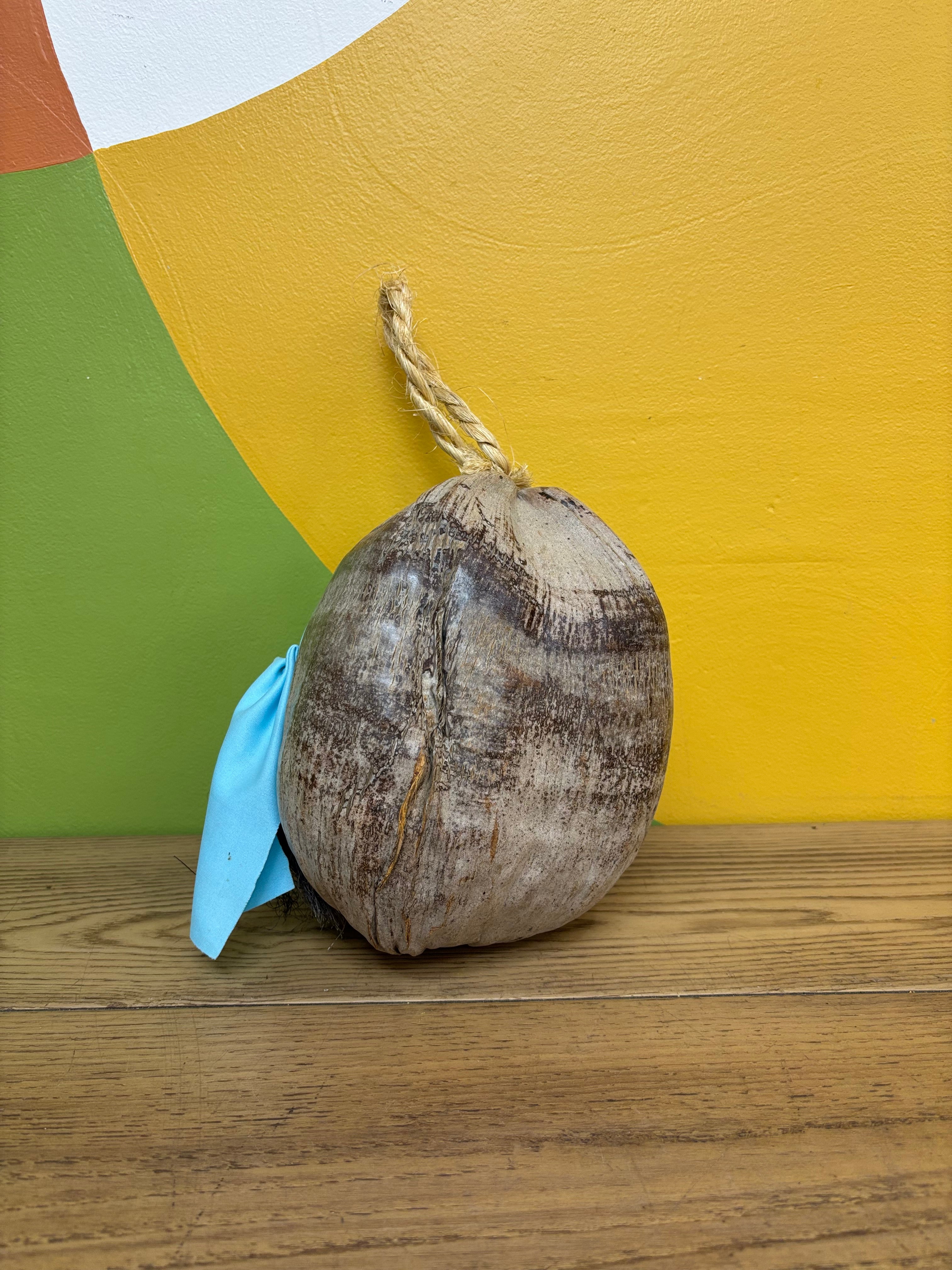 Carved Coconut Pirate Head