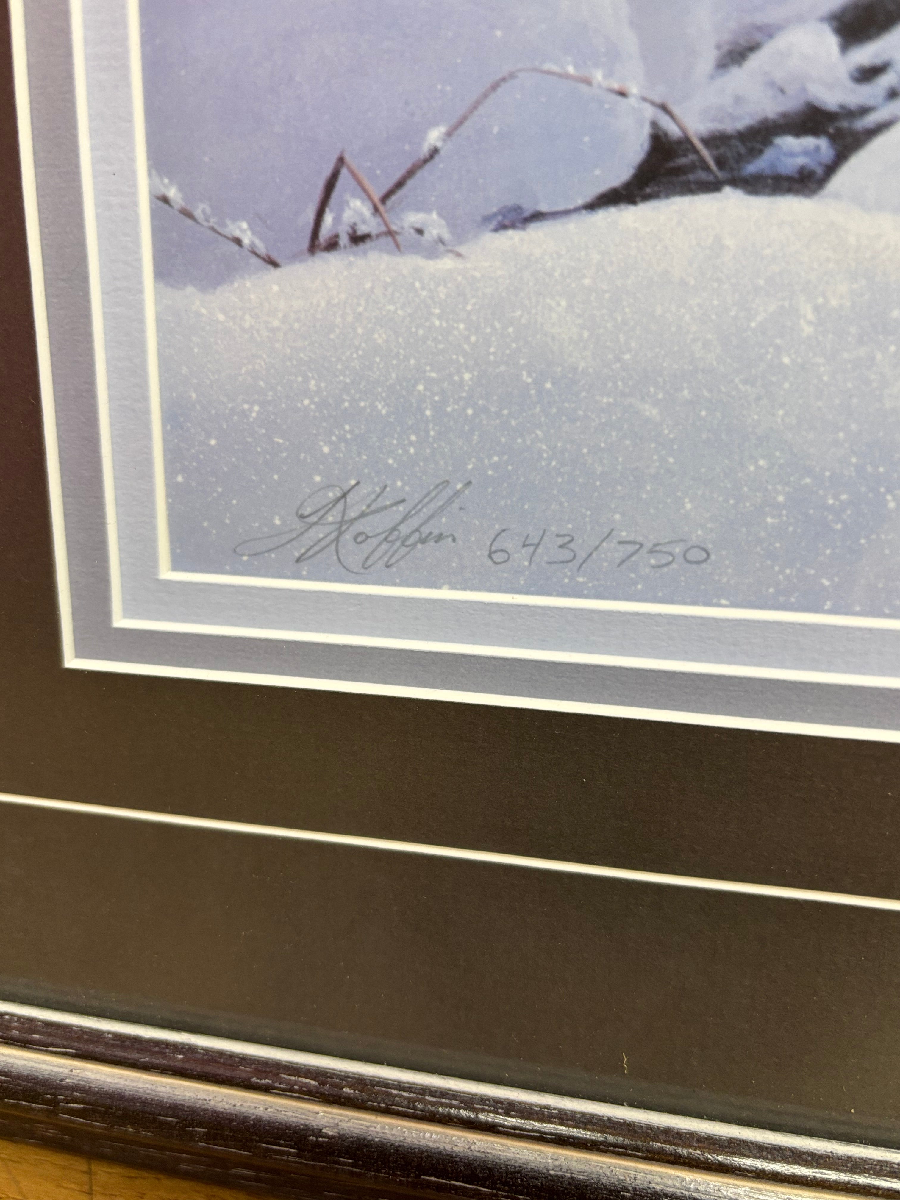 Framed Spirit of the Artic Print by Luke Raffin