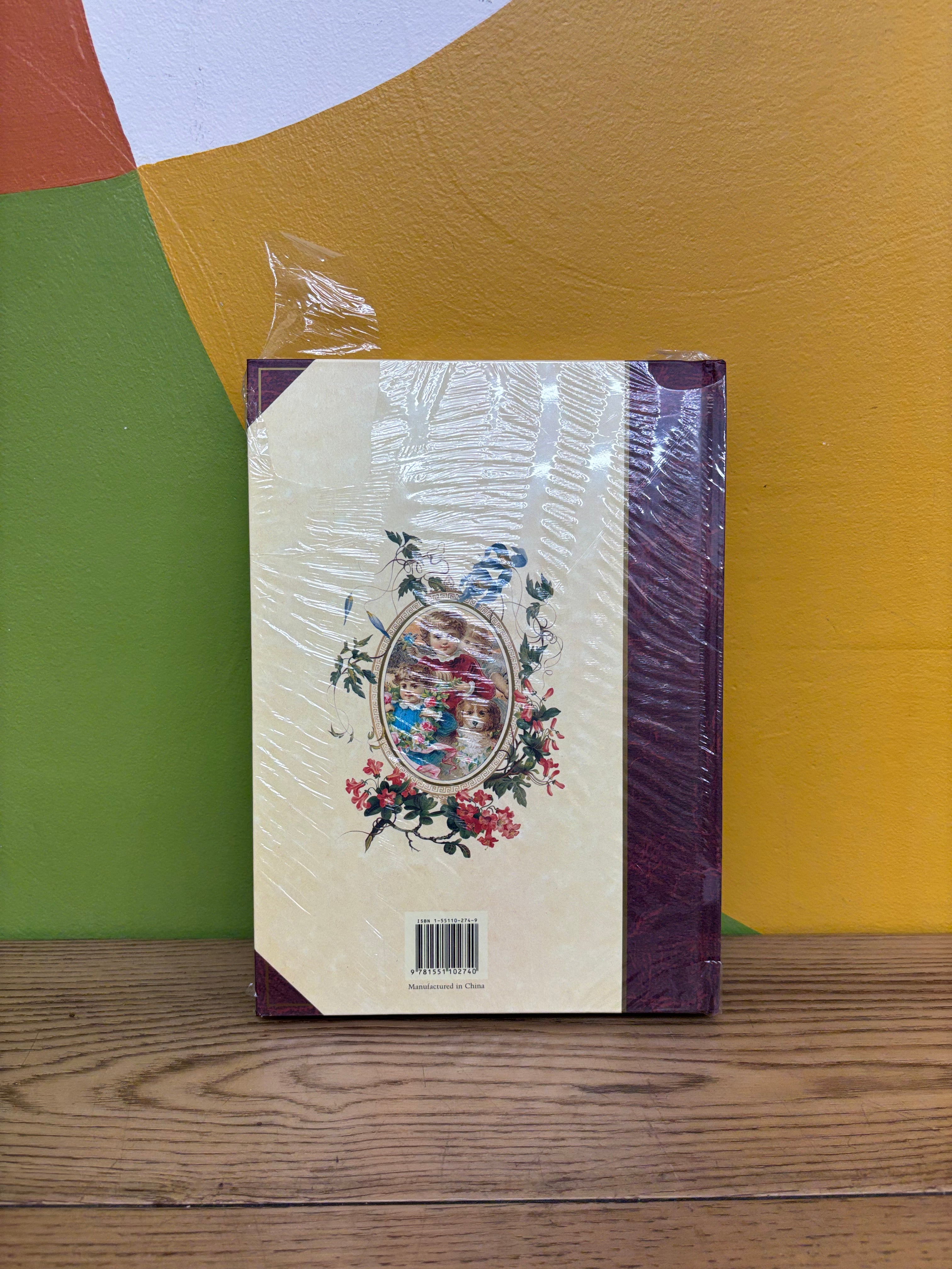 The Victorian Photograph Album (NEW)