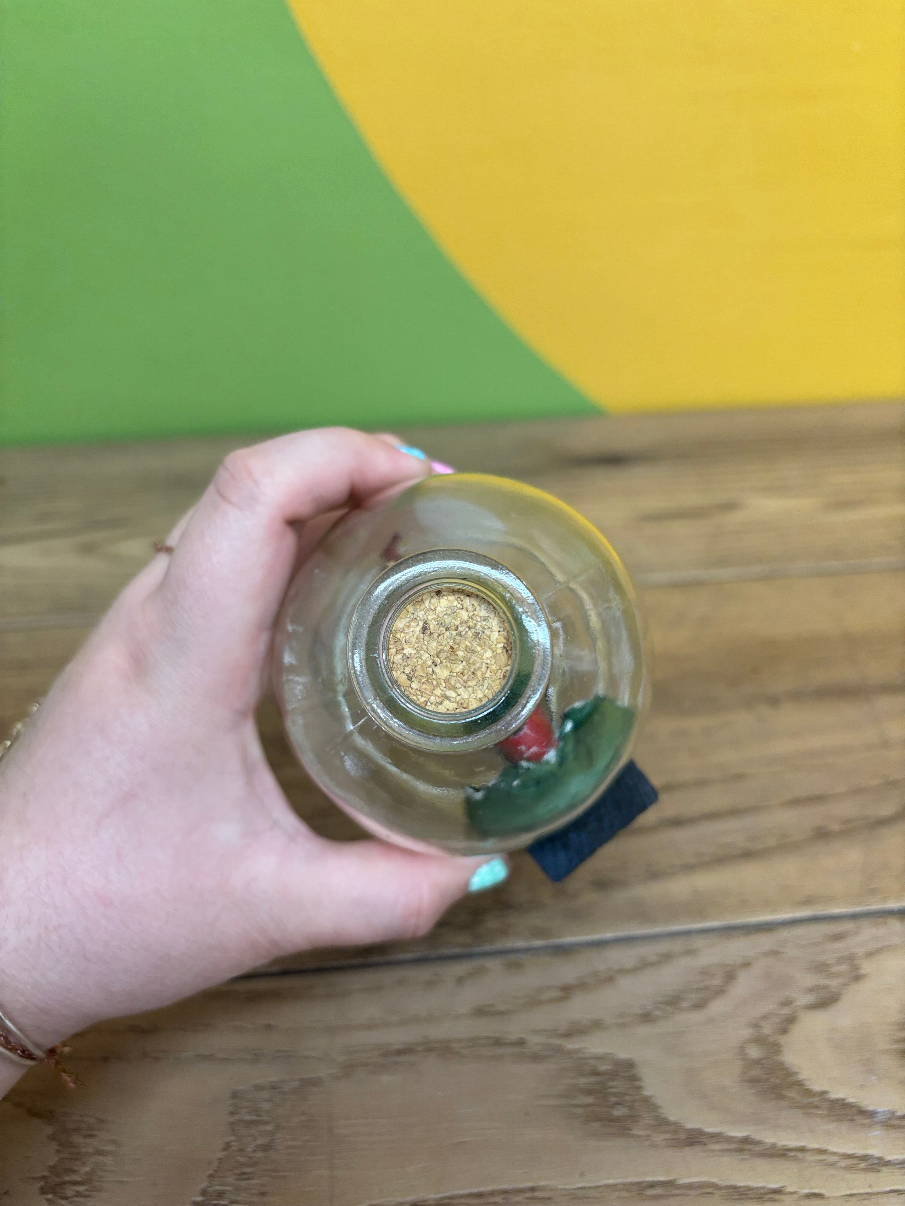 Small Ship in a Bottle