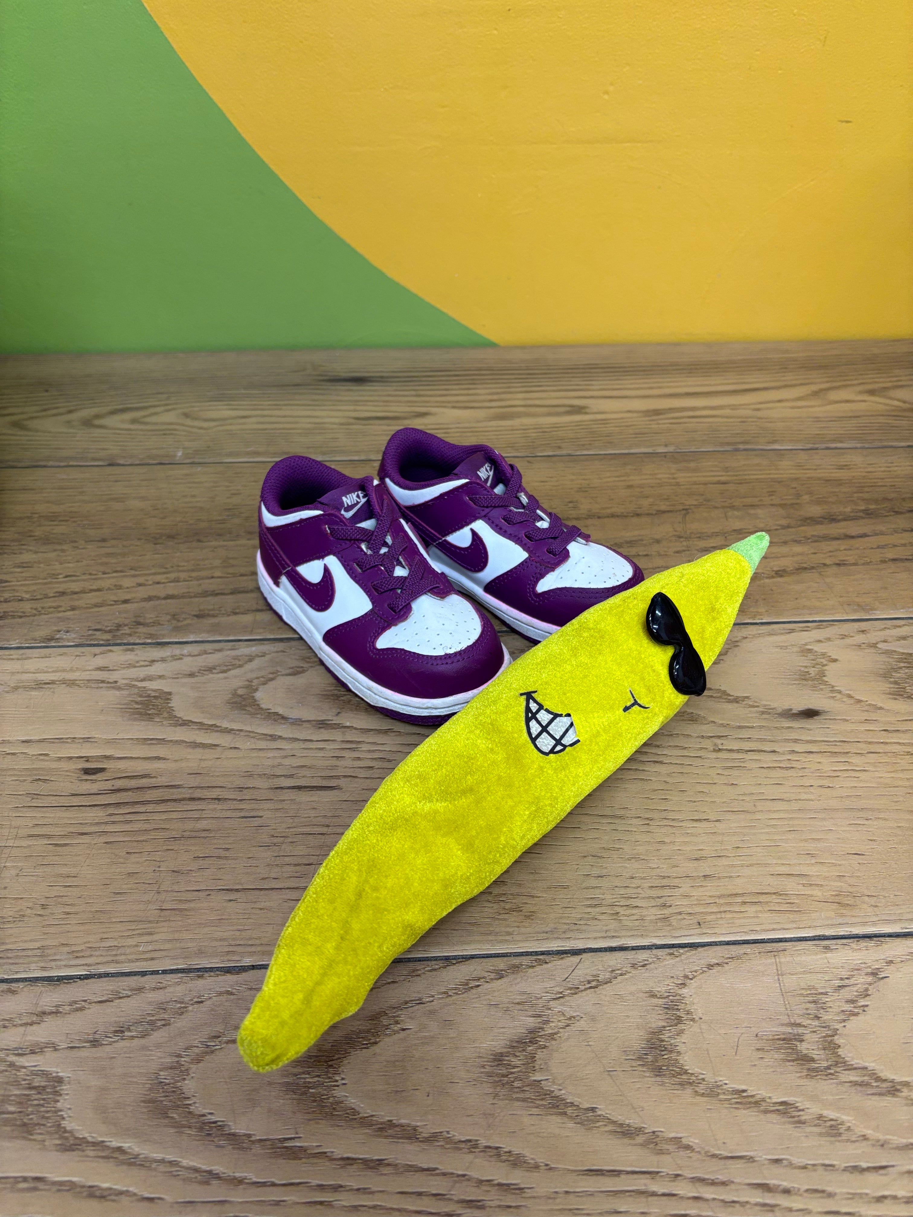 Toddler Nike Low Dunk Shoes - Size 8C