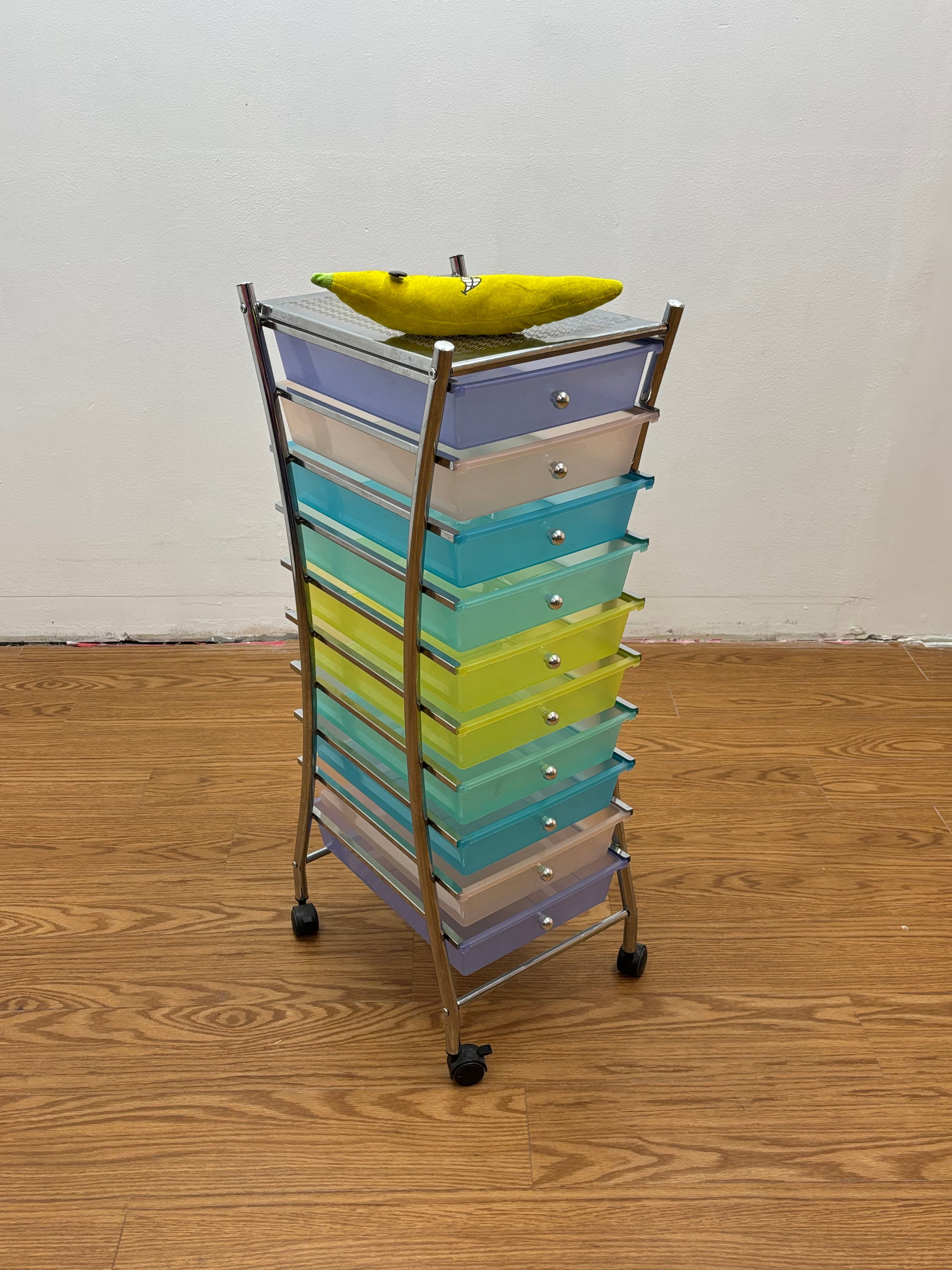 10 Drawer Rolling Cart