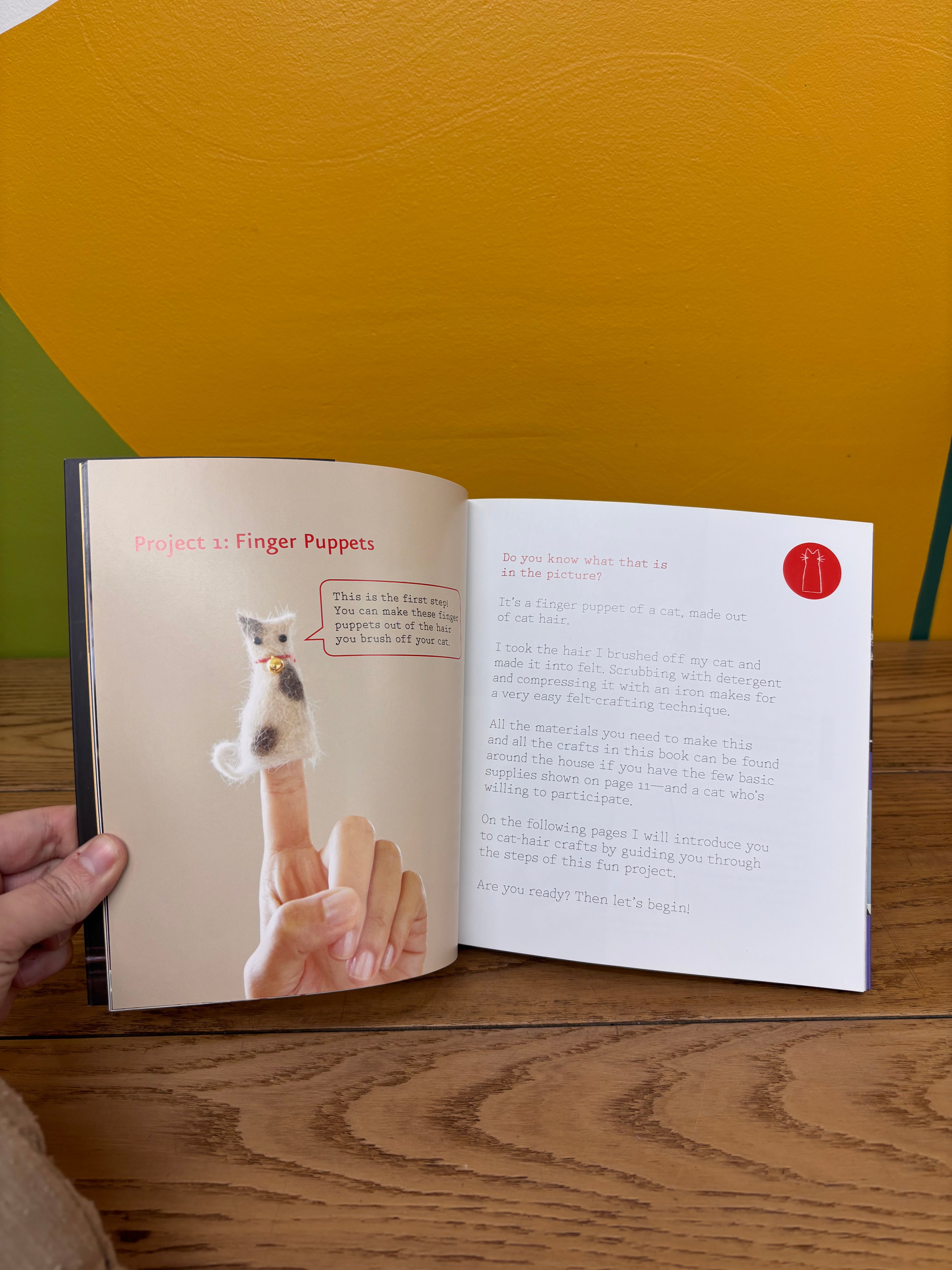 Crafting with Cat Hair Book