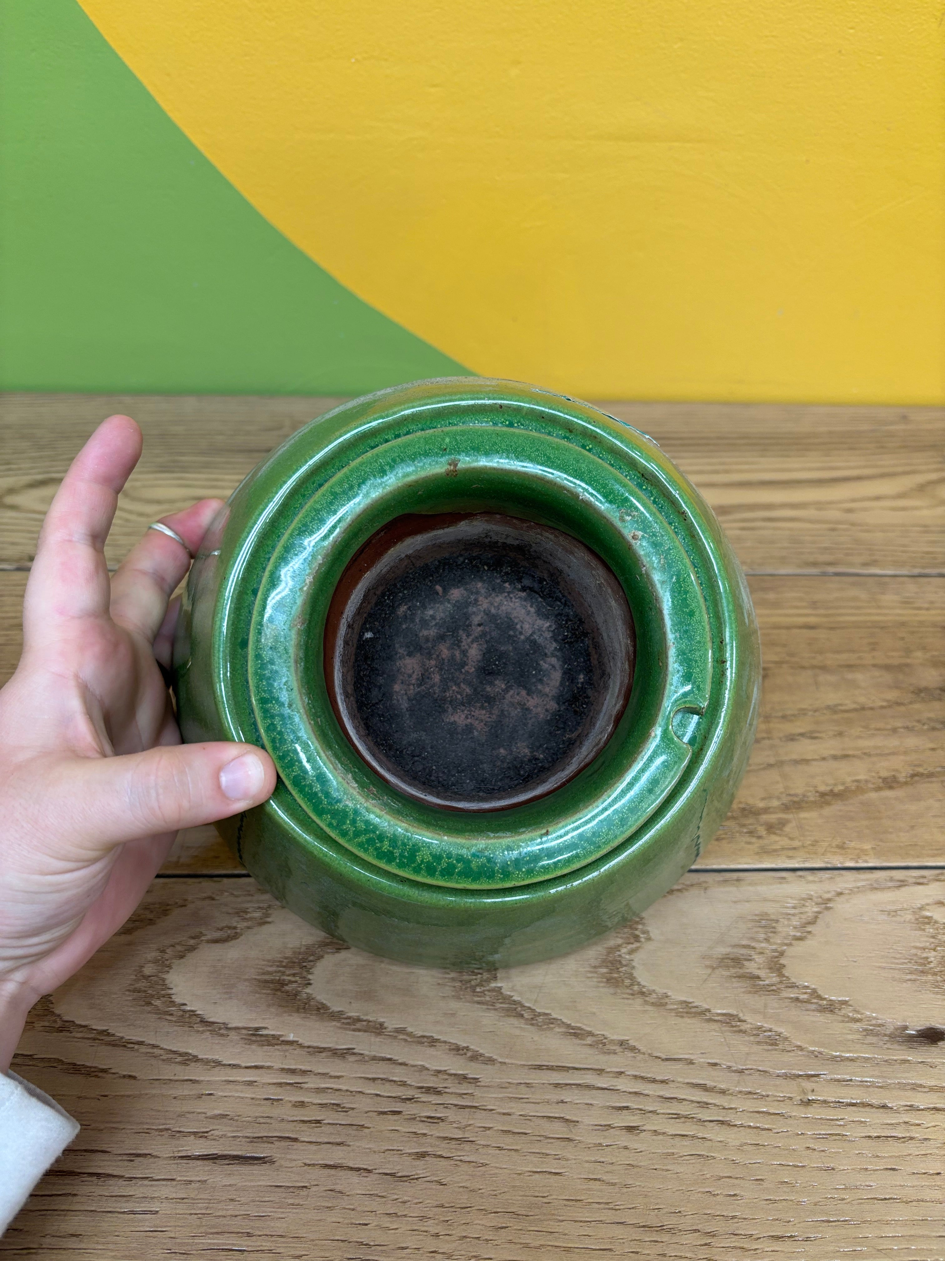Green Self Watering Pot