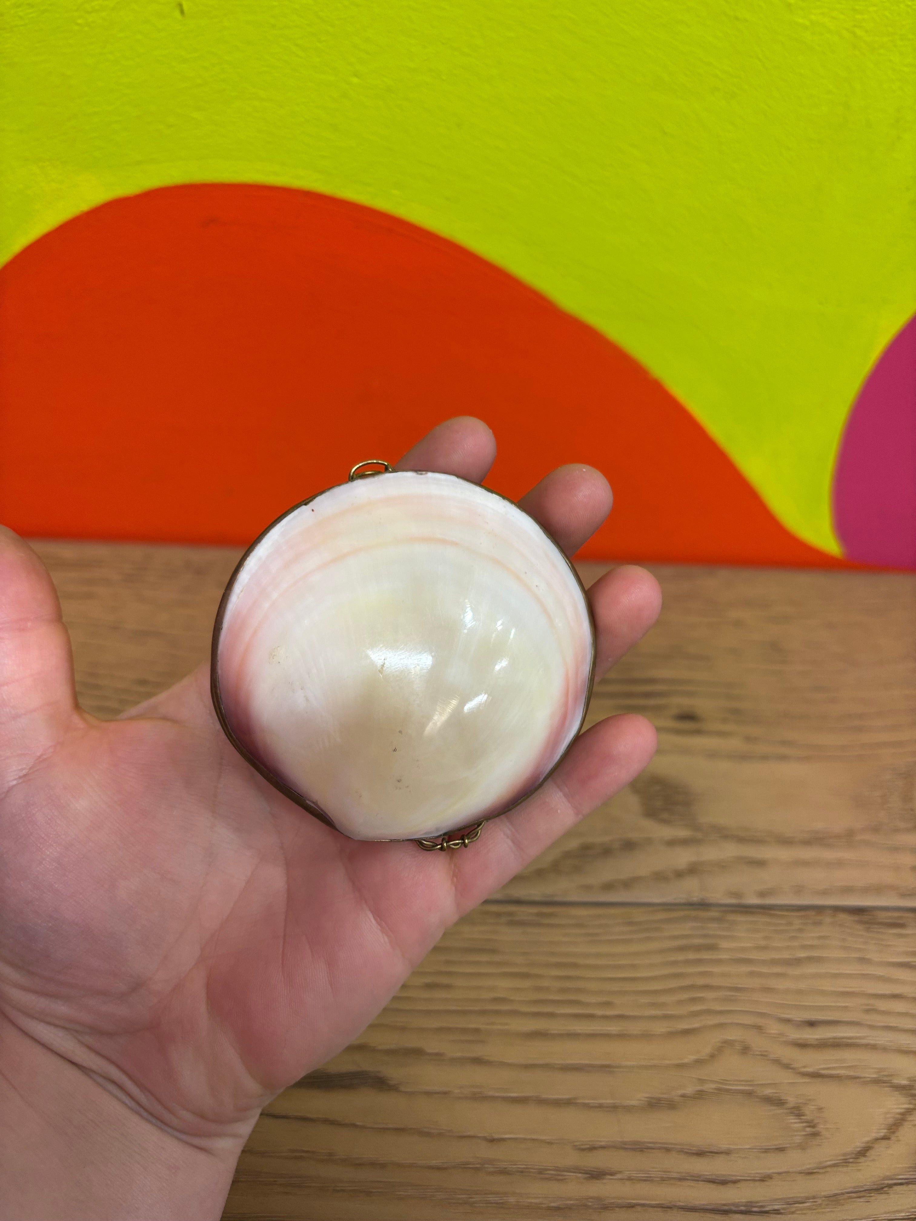 Small Seashell Trinket Box