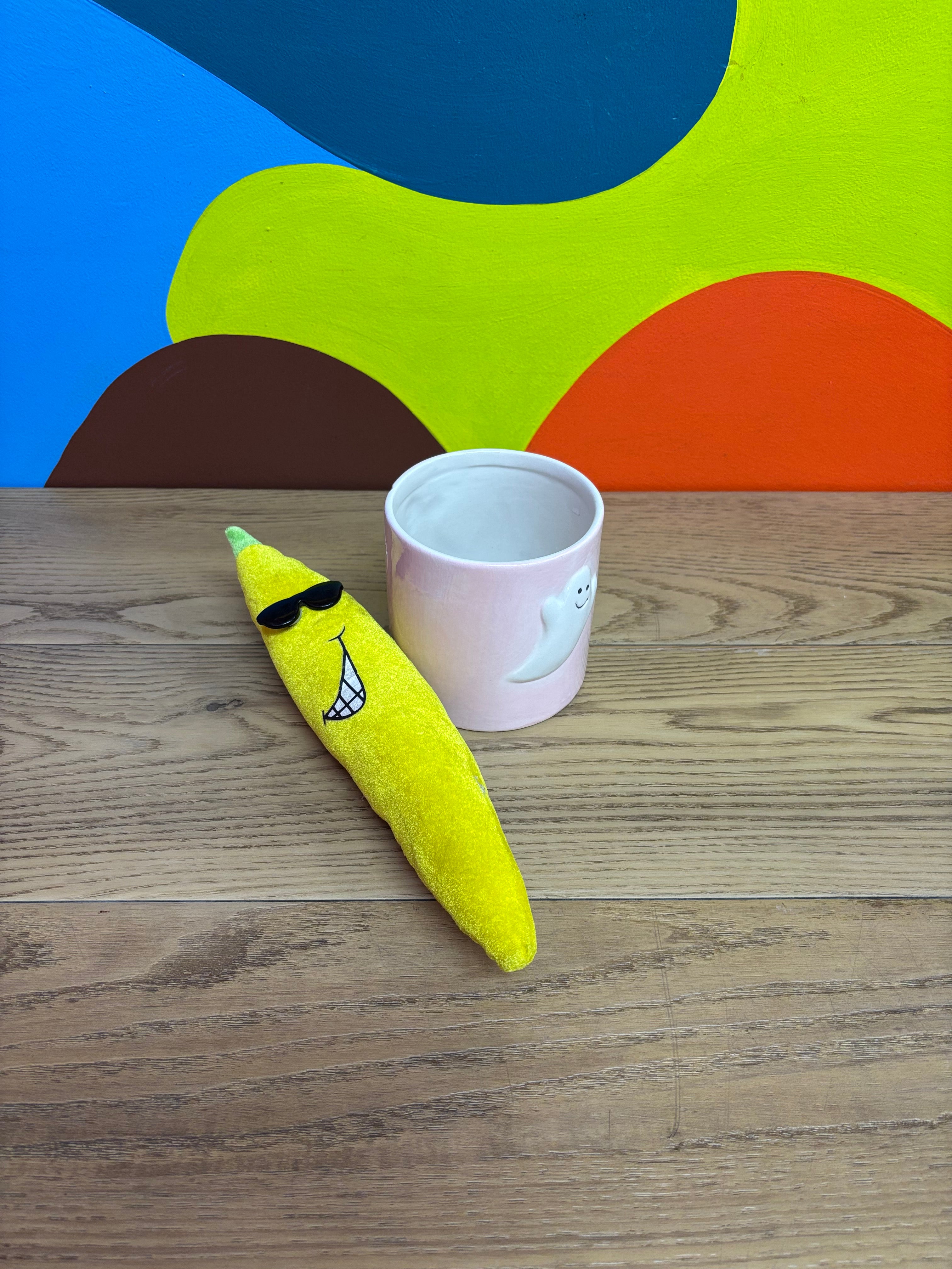 Small Pink Ghost Plant Pot