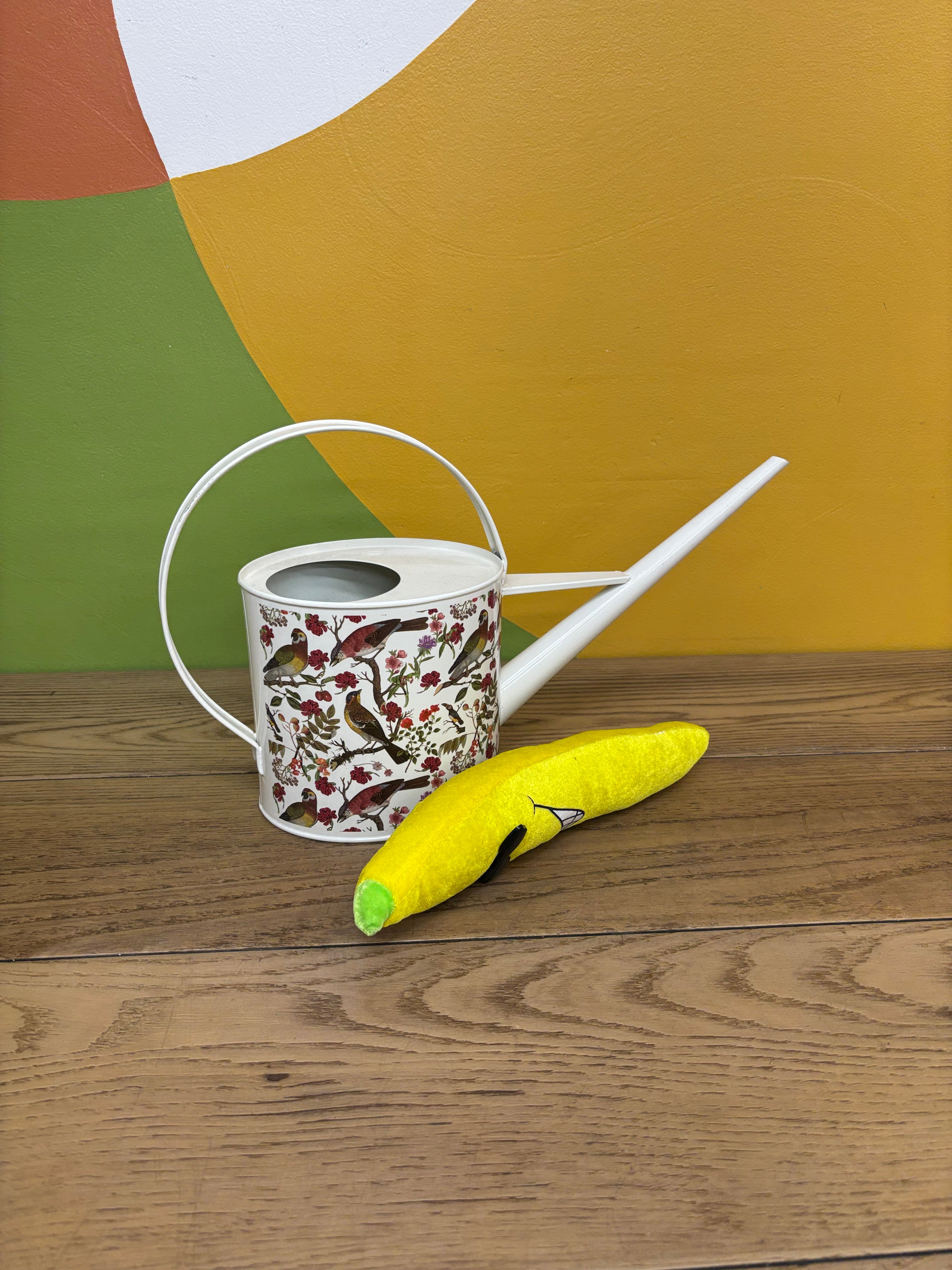 Bird Watering Can