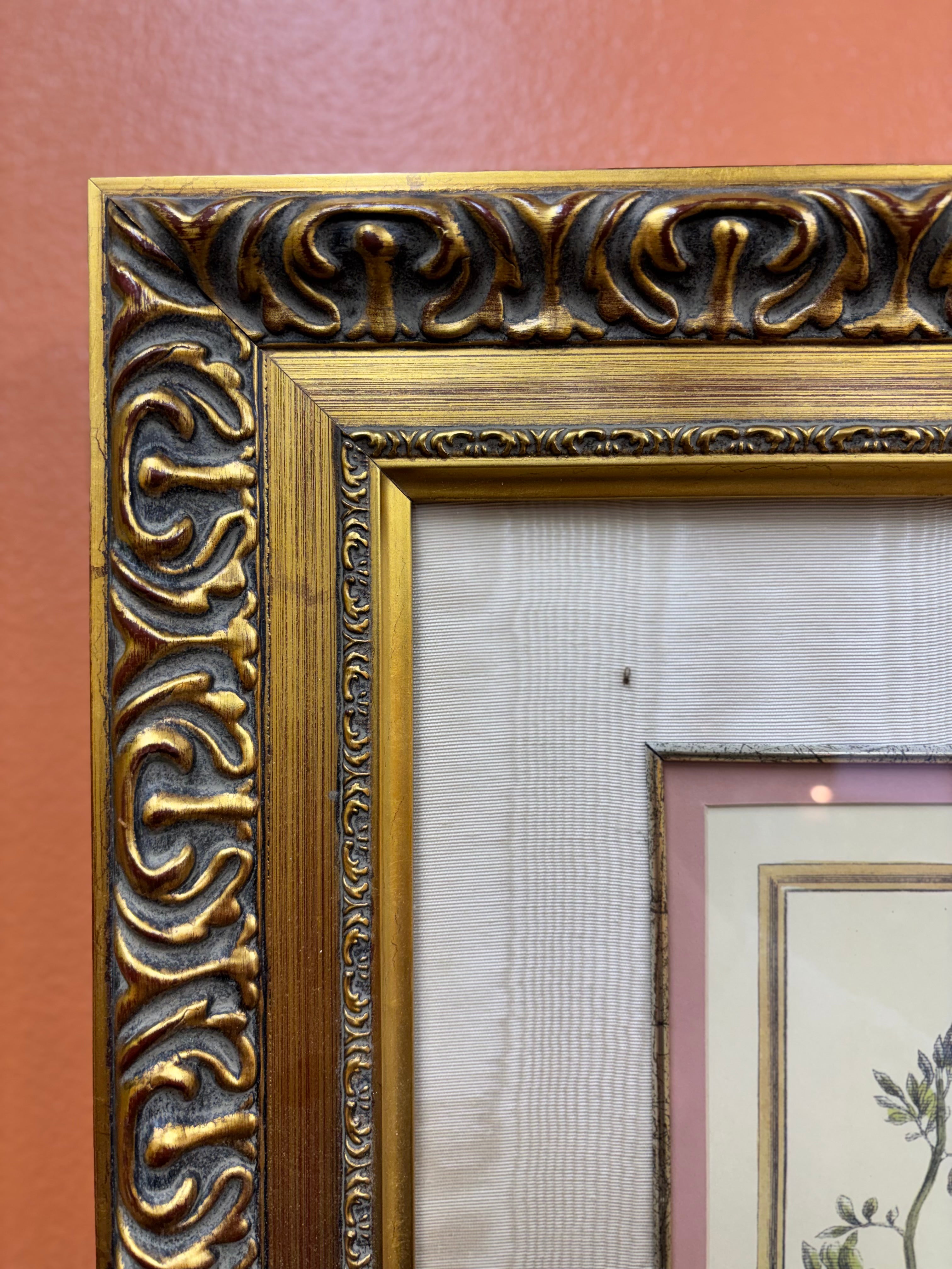 Gold Framed Botanical Print