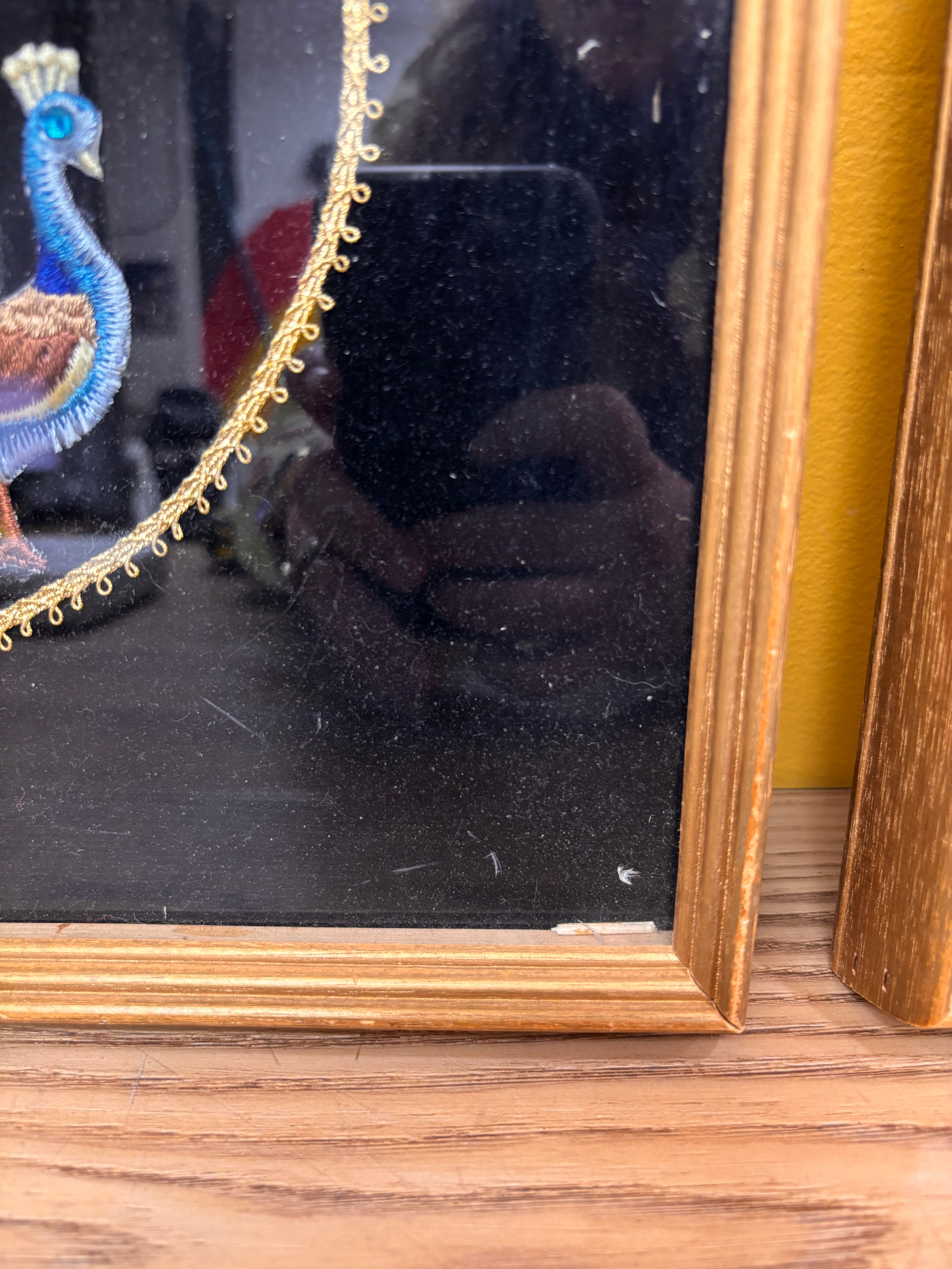 Set of 2 Peacock Velvet Framed Art