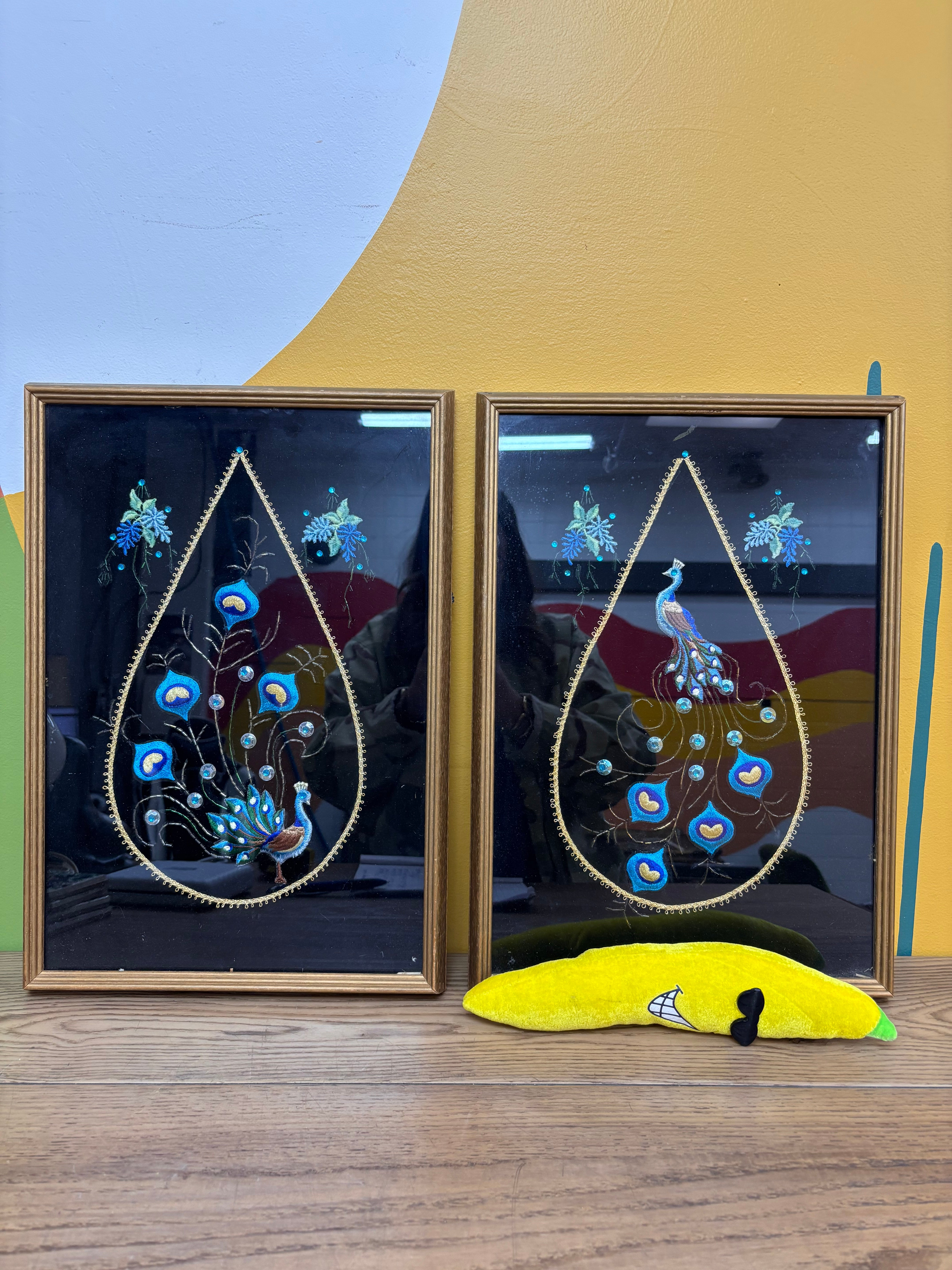 Set of 2 Peacock Velvet Framed Art