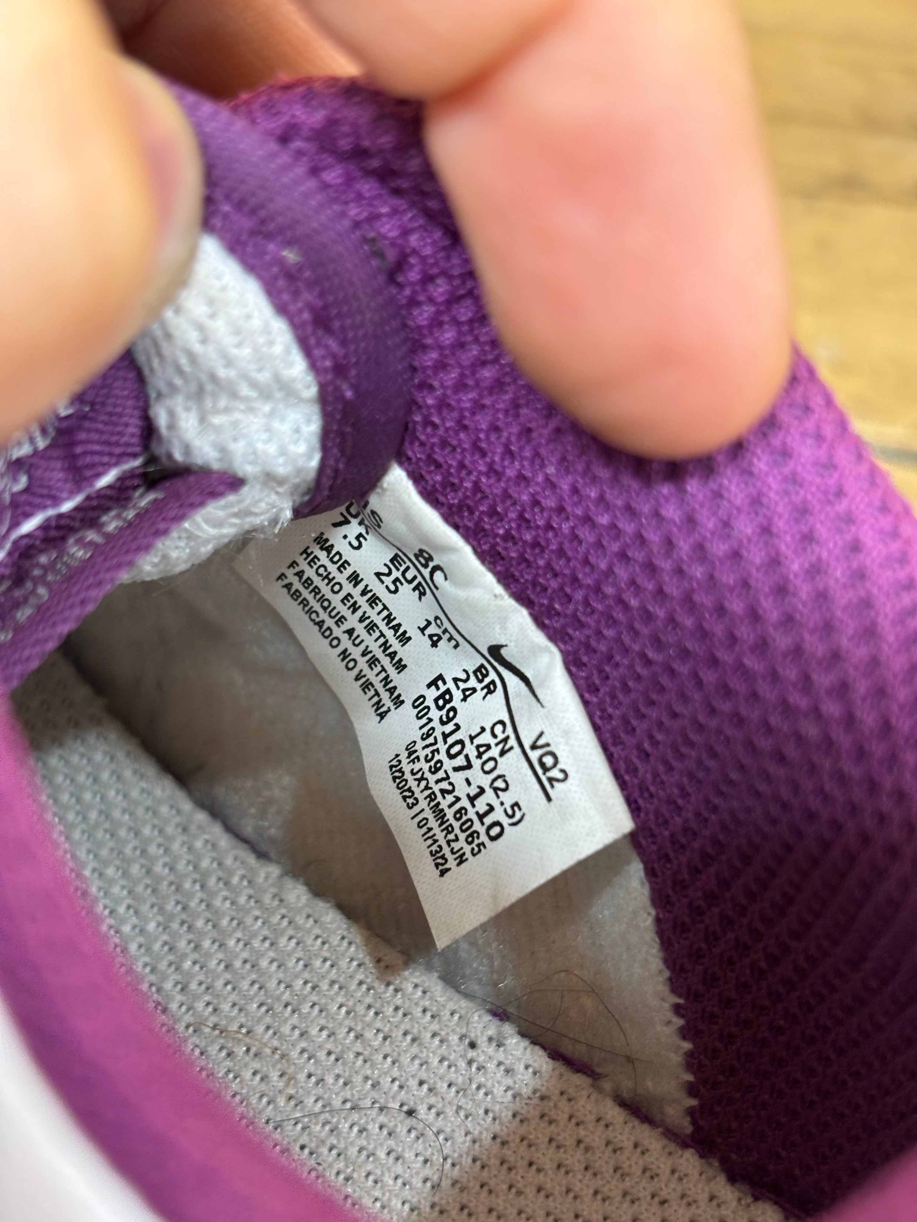 Toddler Nike Low Dunk Shoes - Size 8C