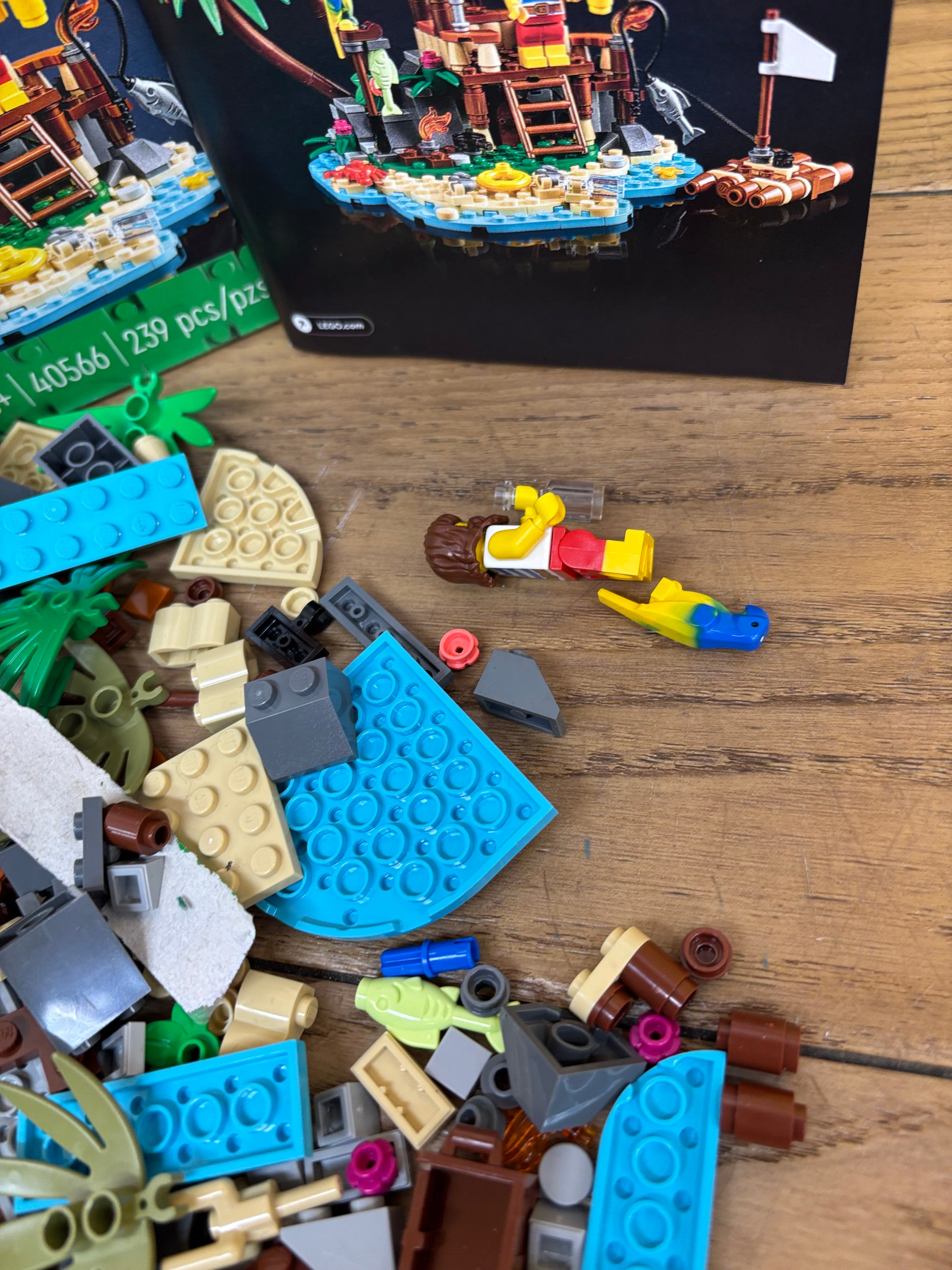 Lego: Ray The Castaway Set #40566