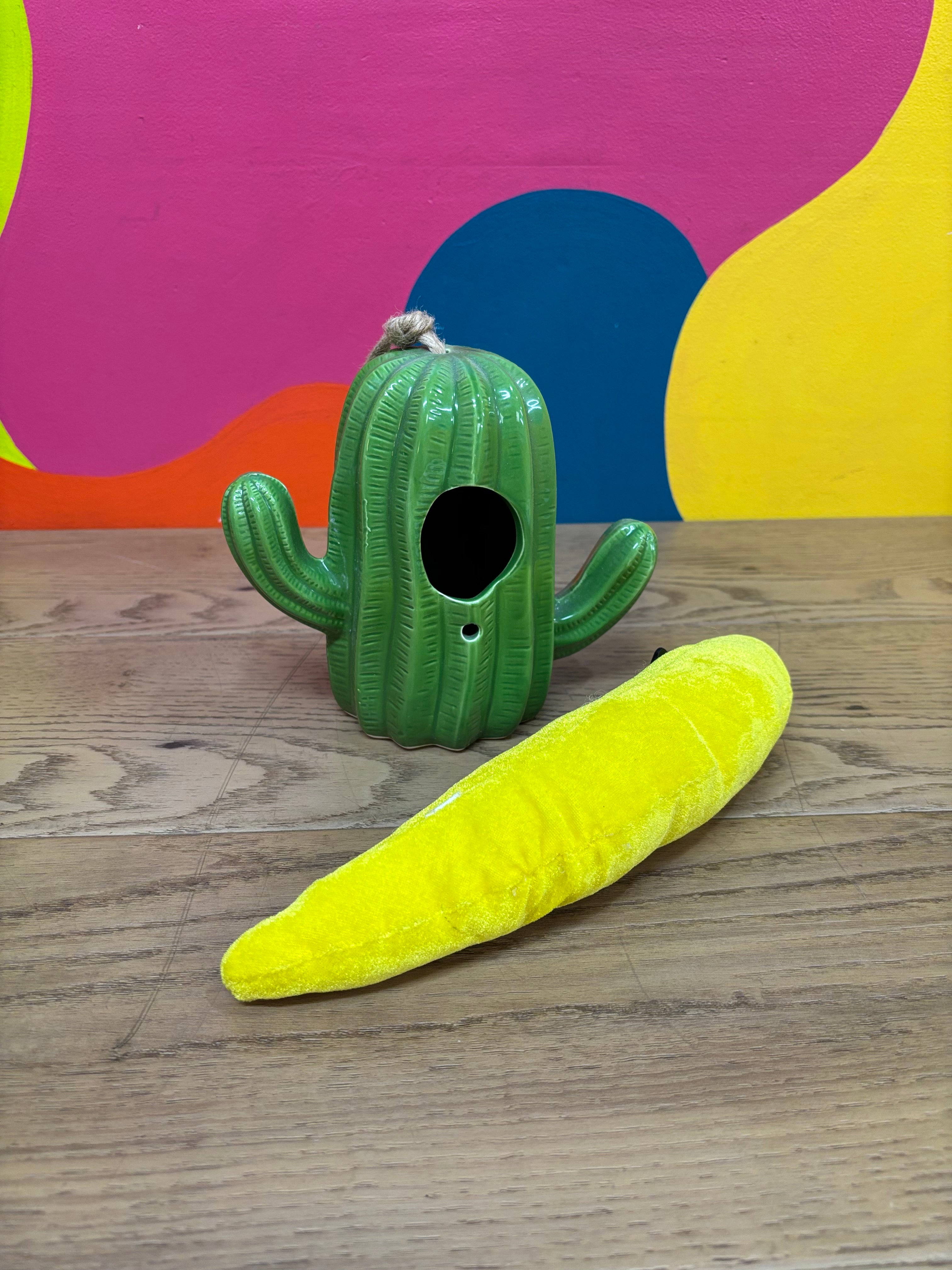 Ceramic Cactus Birdhouse