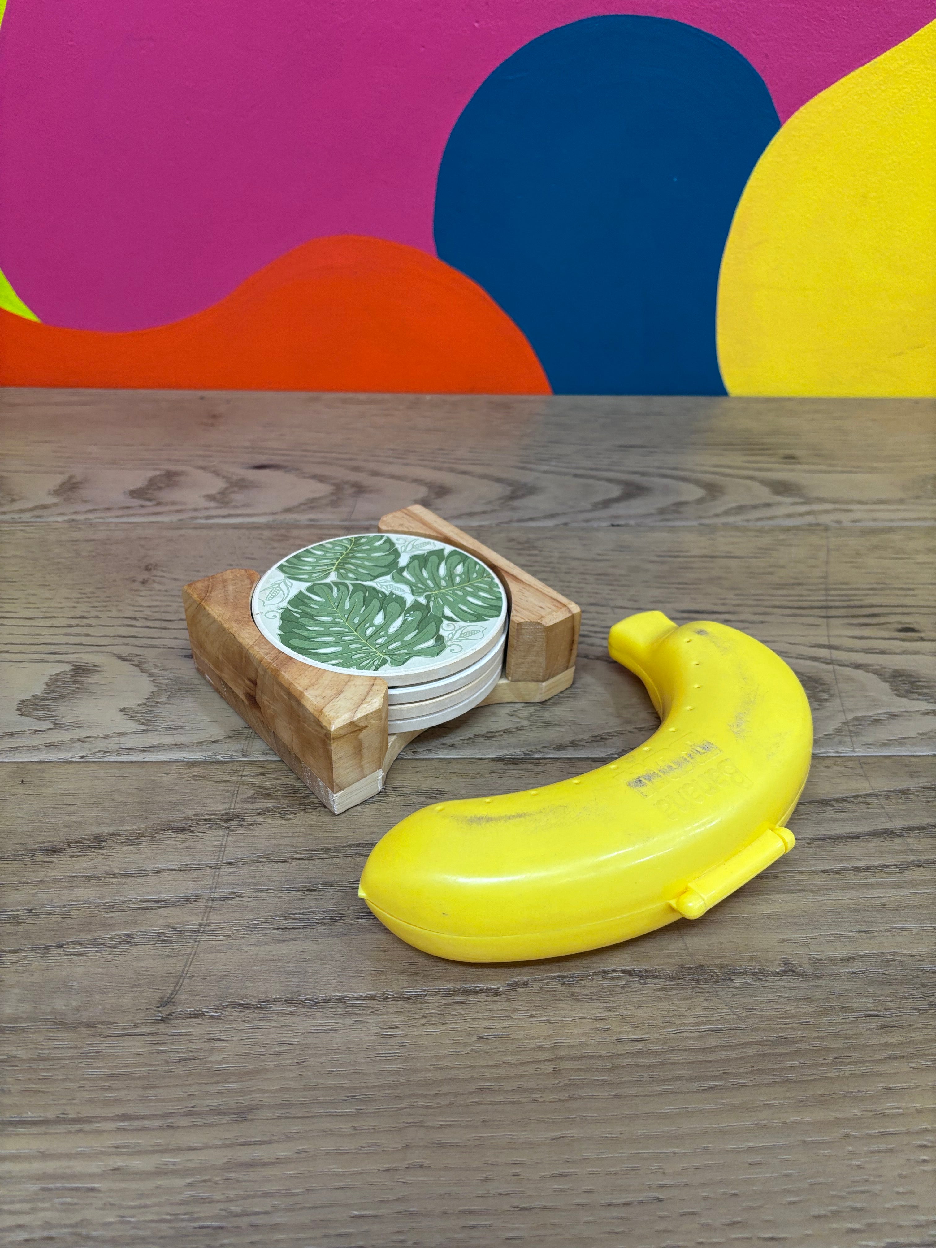 (4) Plant Coasters