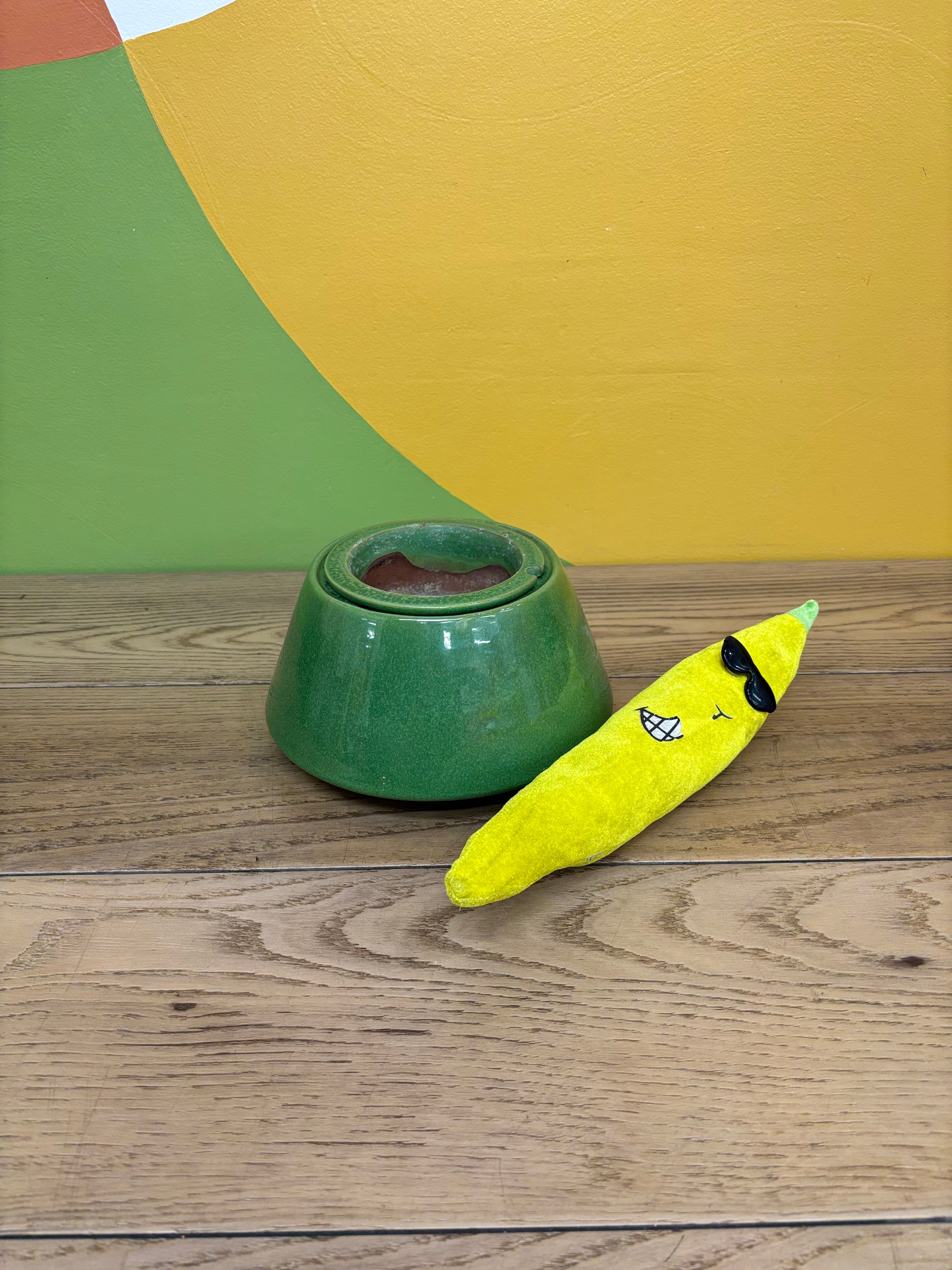 Green Self Watering Pot