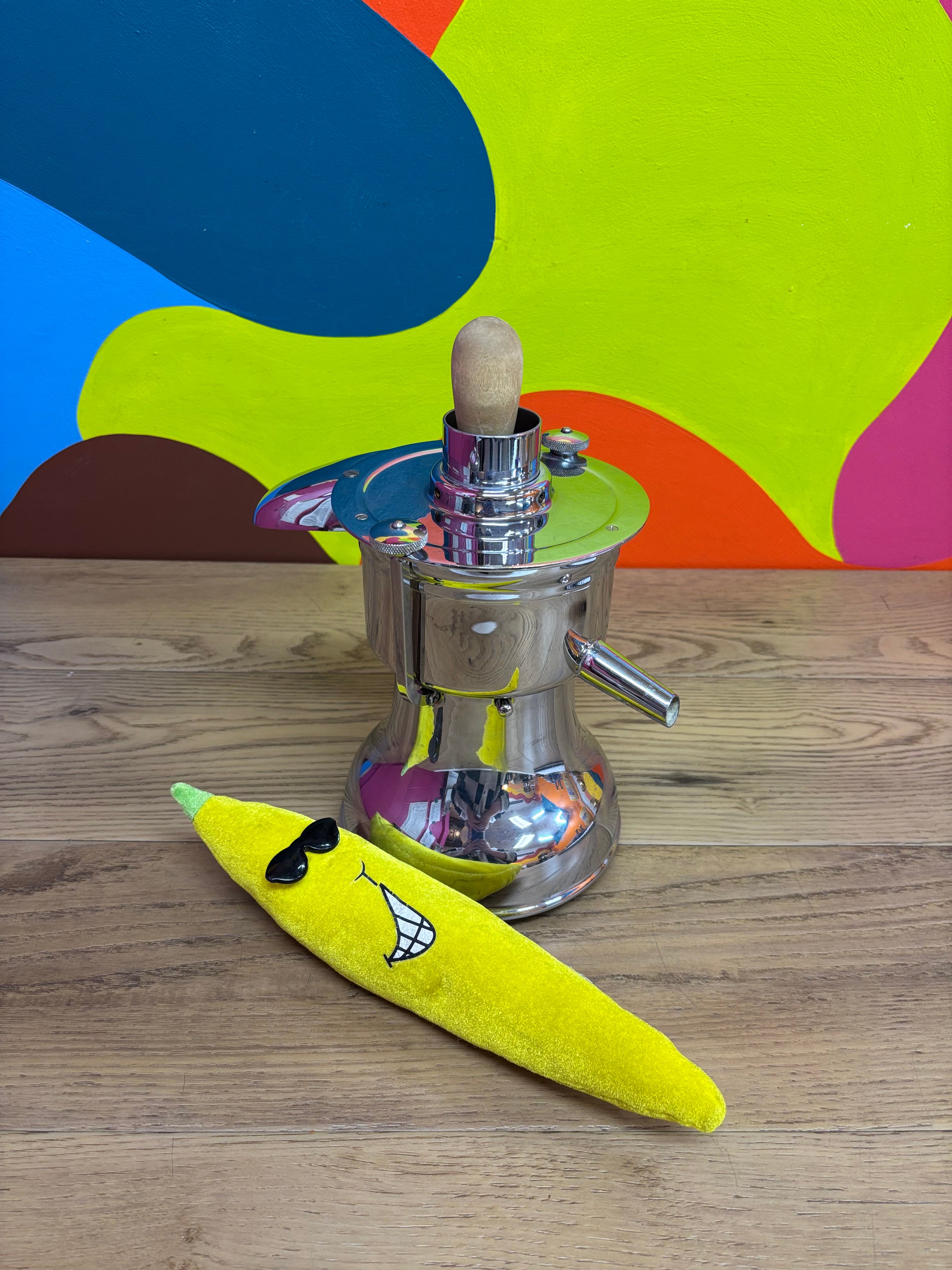 Series 4 Healthmaster Electric Juicer