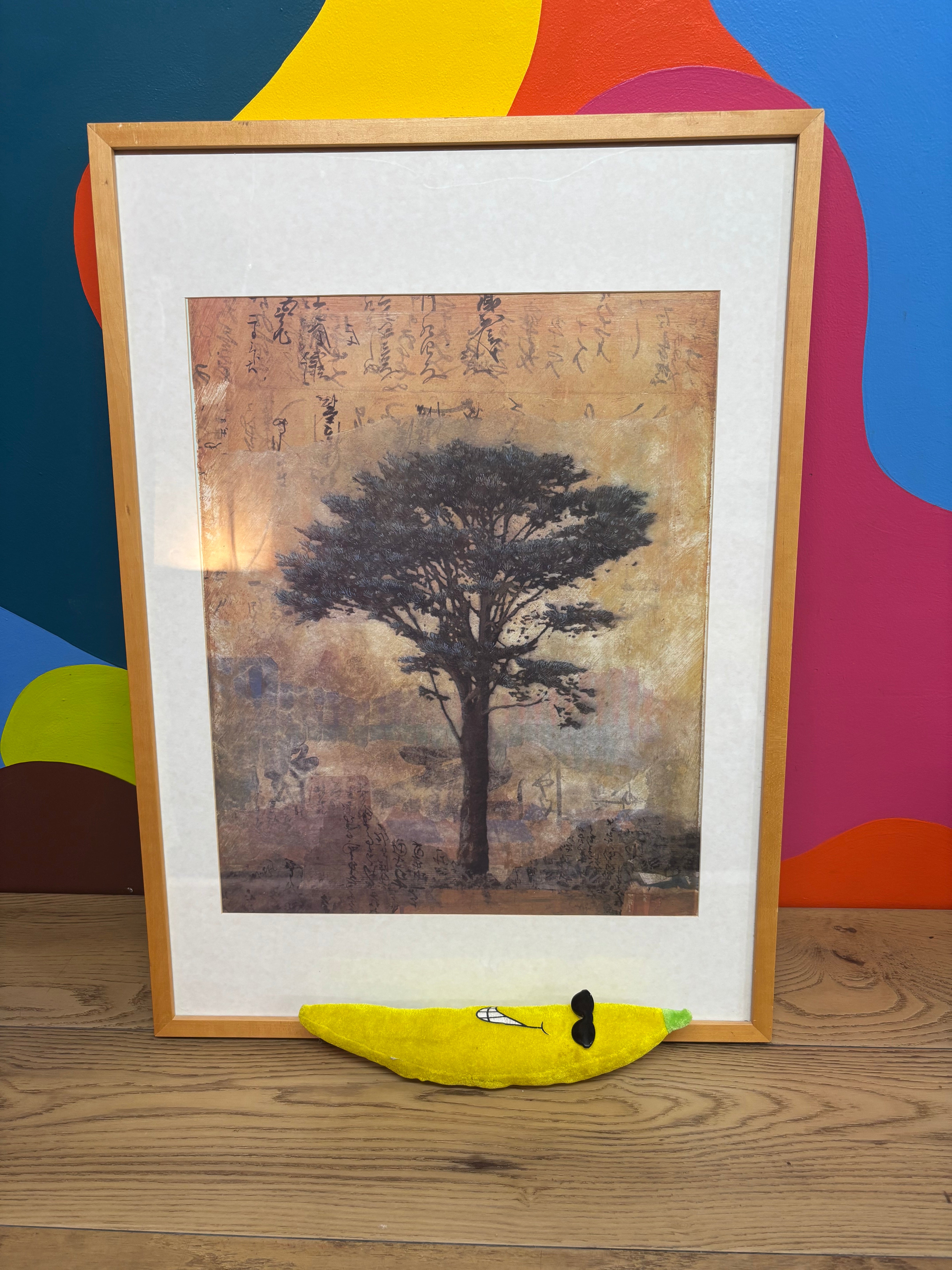 Presidio Cypress by Donald Farnsworth Framed Print