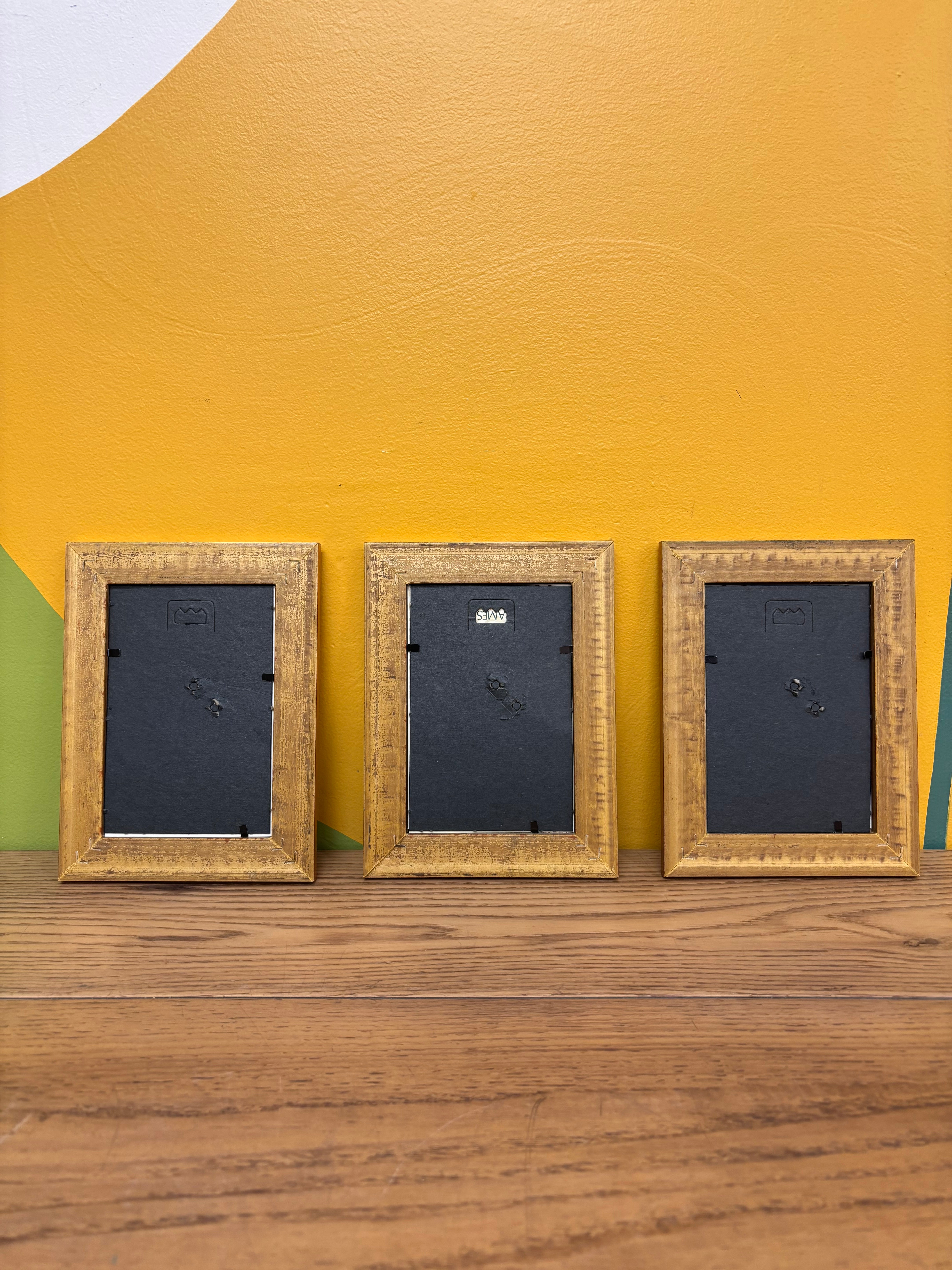 Set of 3 Framed Prints