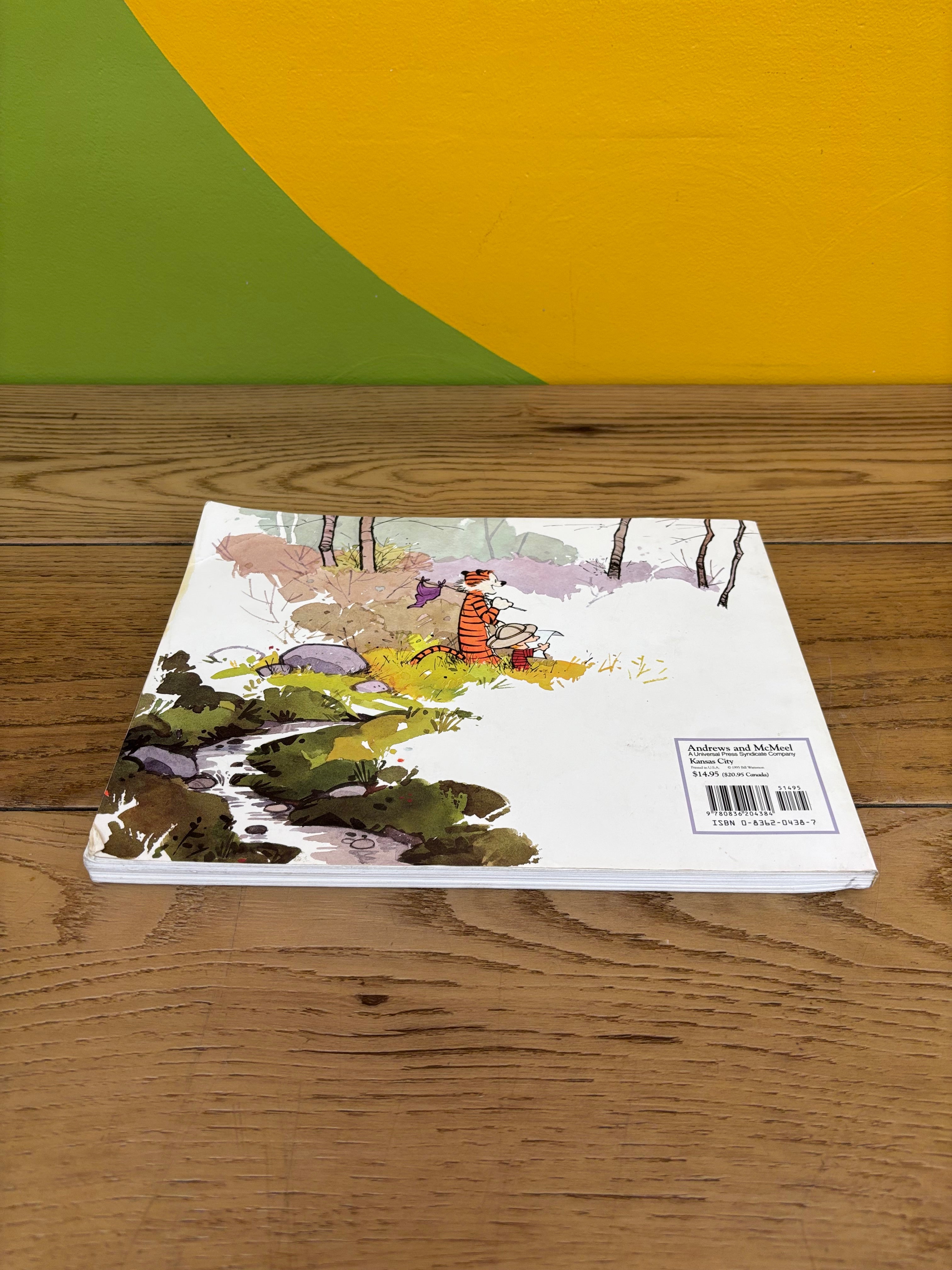 The Calvin and Hobbes Tenth Anniversary Book by Bill Watterson